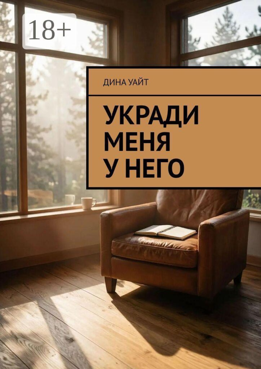 Обложка книги «Укради меня у него»