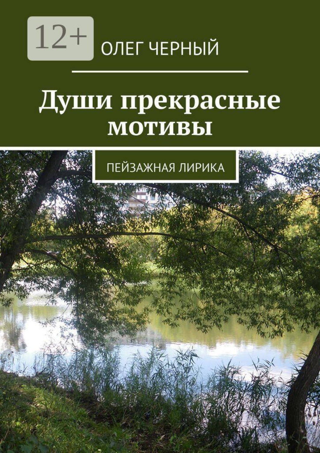 Обложка книги «Души прекрасные мотивы. Пейзажная лирика»