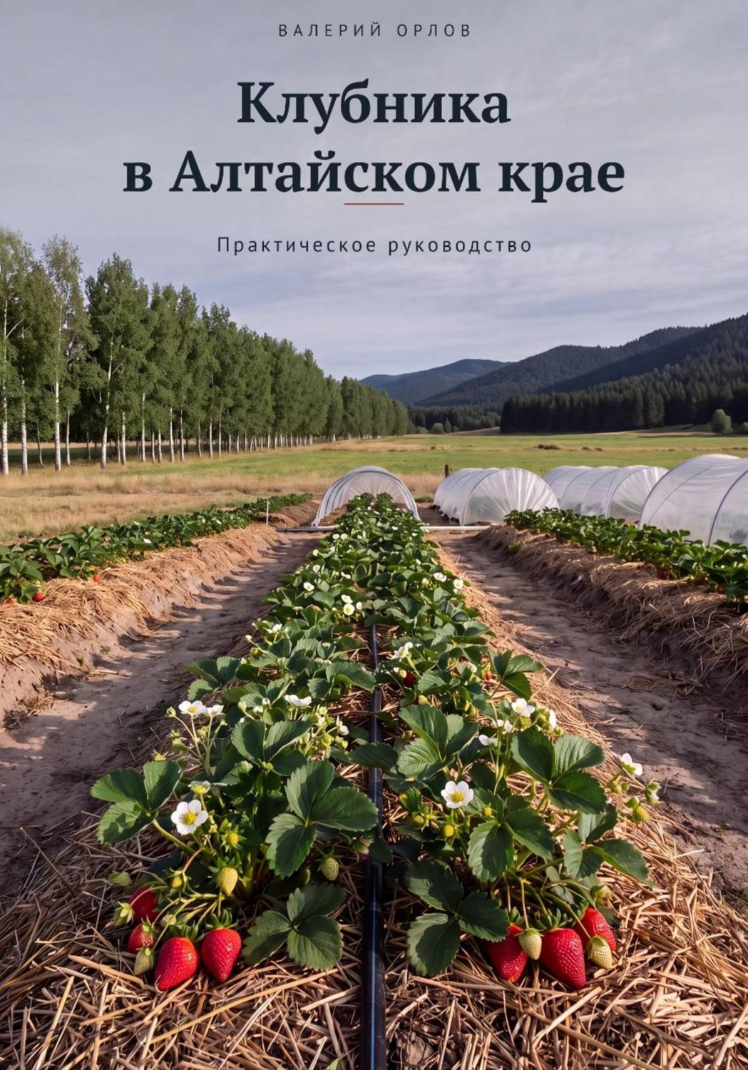 Обложка книги «Клубника в Алтайском крае. Практическое руководство»
