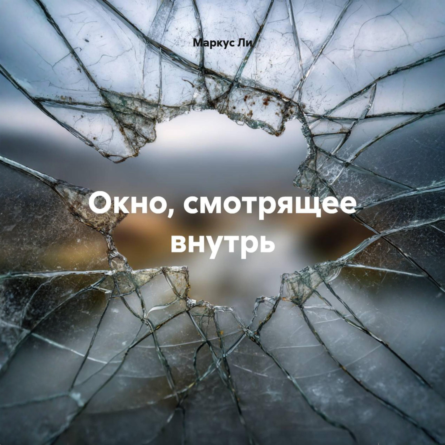 Обложка книги «Окно, смотрящее внутрь»