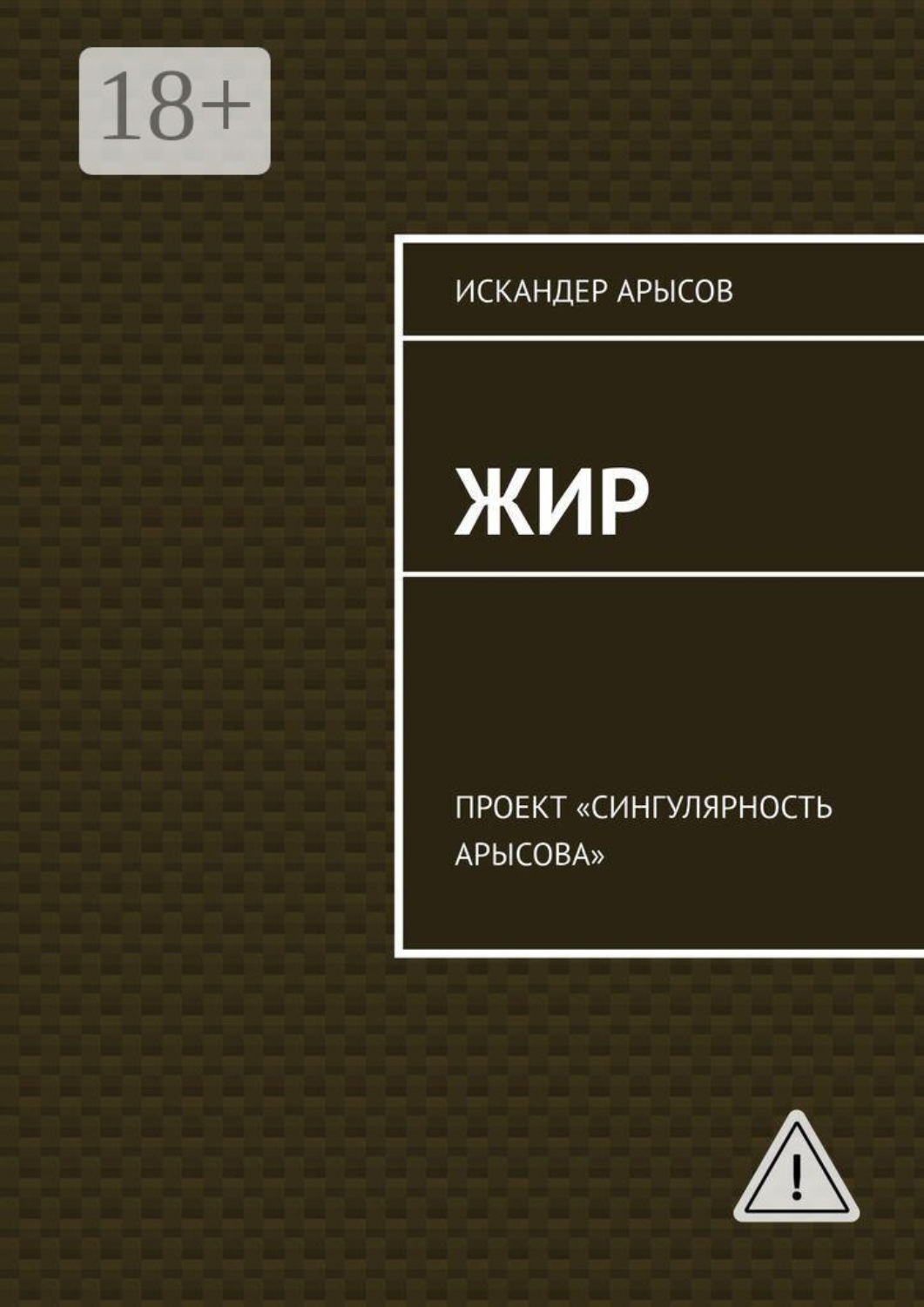 Обложка книги «Жир. Проект «Сингулярность Арысова»»