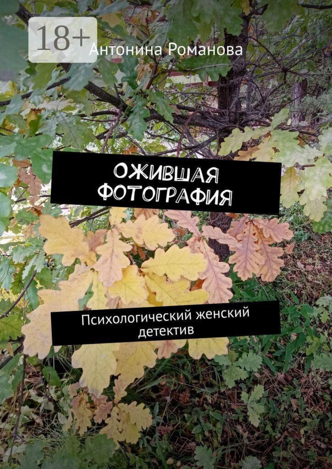 Обложка книги «Ожившая фотография. Психологический женский детектив»