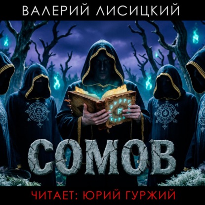 Обложка книги «Сомов»