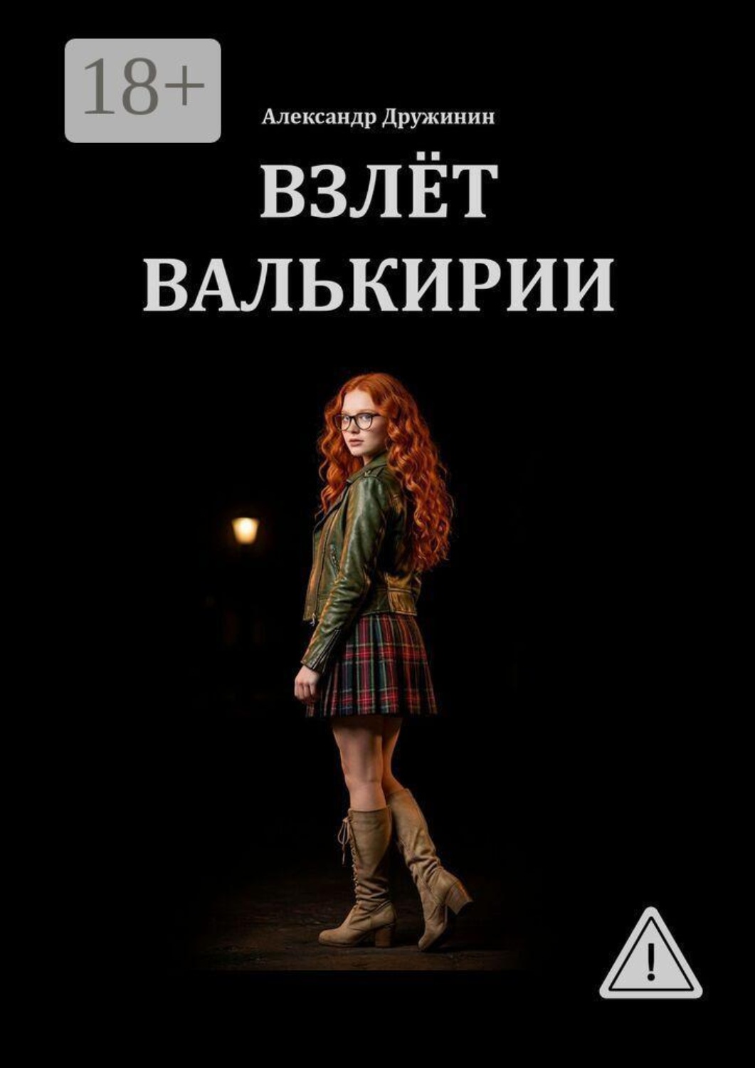 Обложка книги «Взлёт Валькирии»
