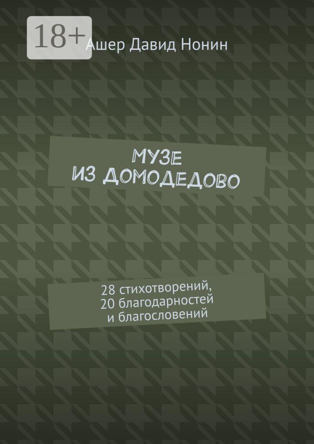 Обложка книги «Музе из Домодедово. 28 стихотворений, 20 благодарностей и благословений»