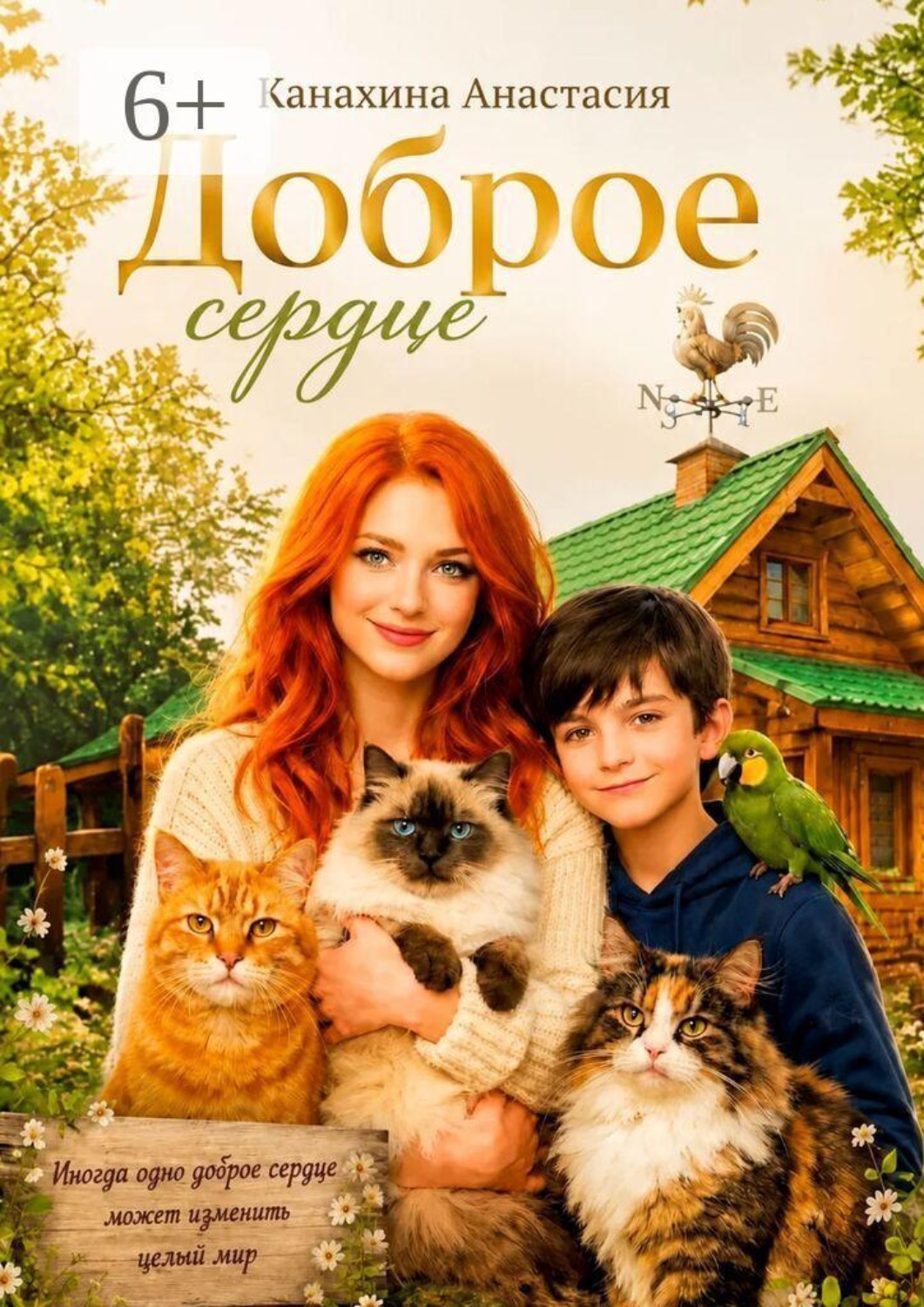 Обложка книги «Доброе сердце»