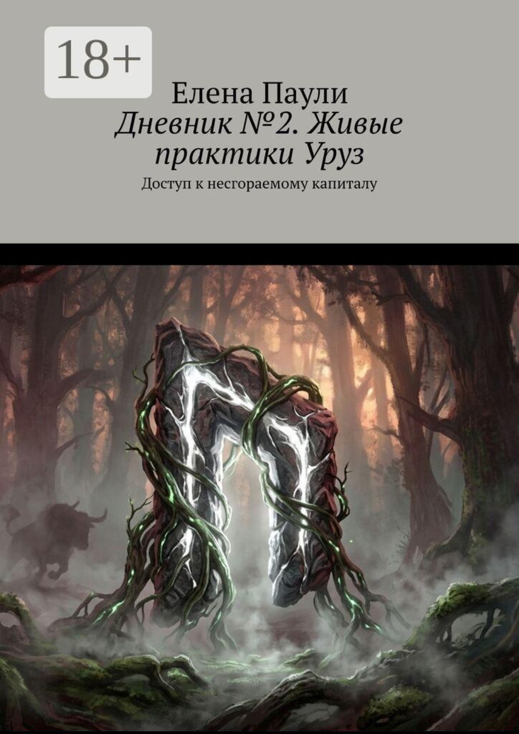 Обложка книги «Дневник №2. Живые практики Уруз. Доступ к несгораемому капиталу»