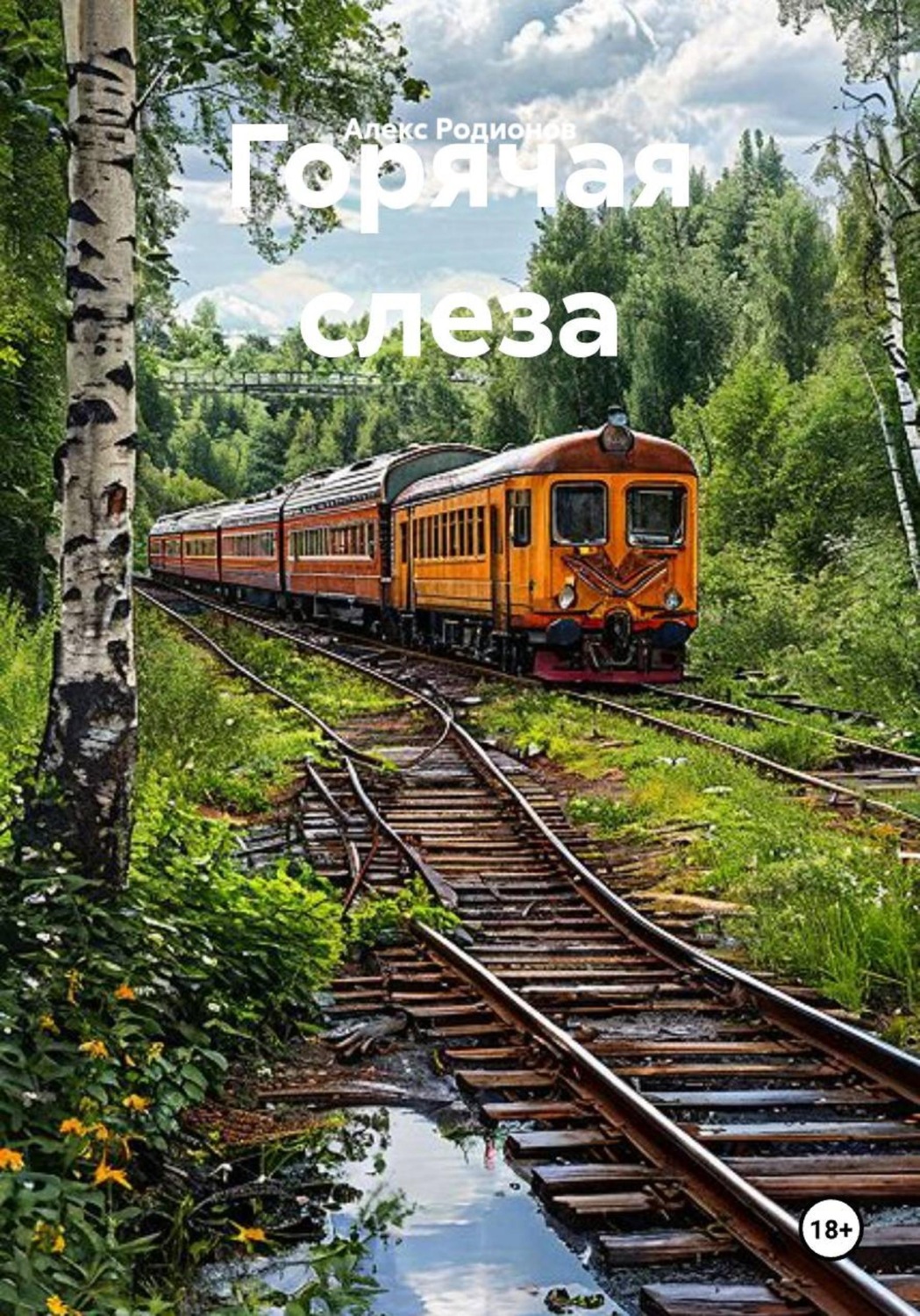 Обложка книги «Горячая слеза»