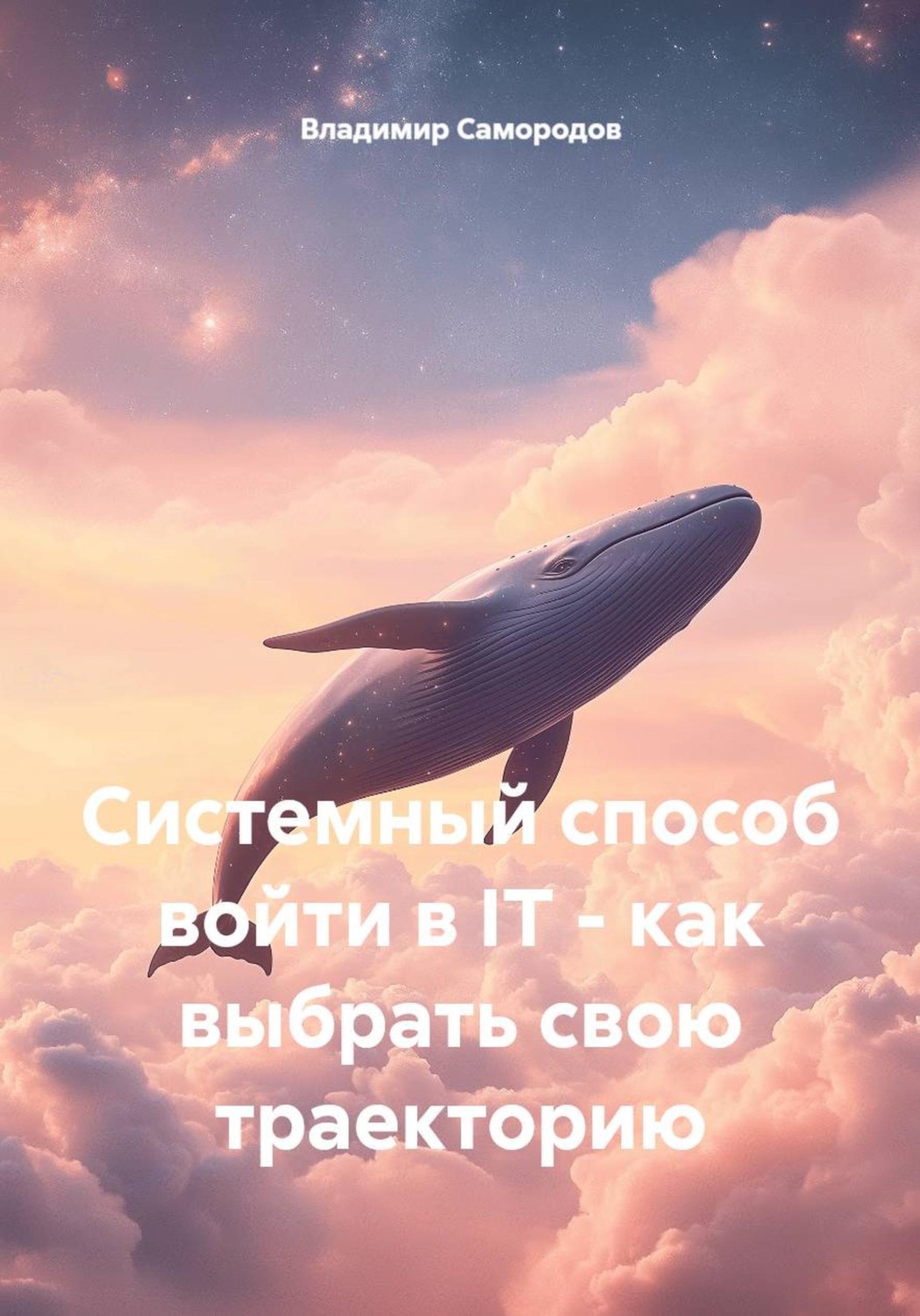 Обложка книги «Системный способ войти в IT - как выбрать свою траекторию»