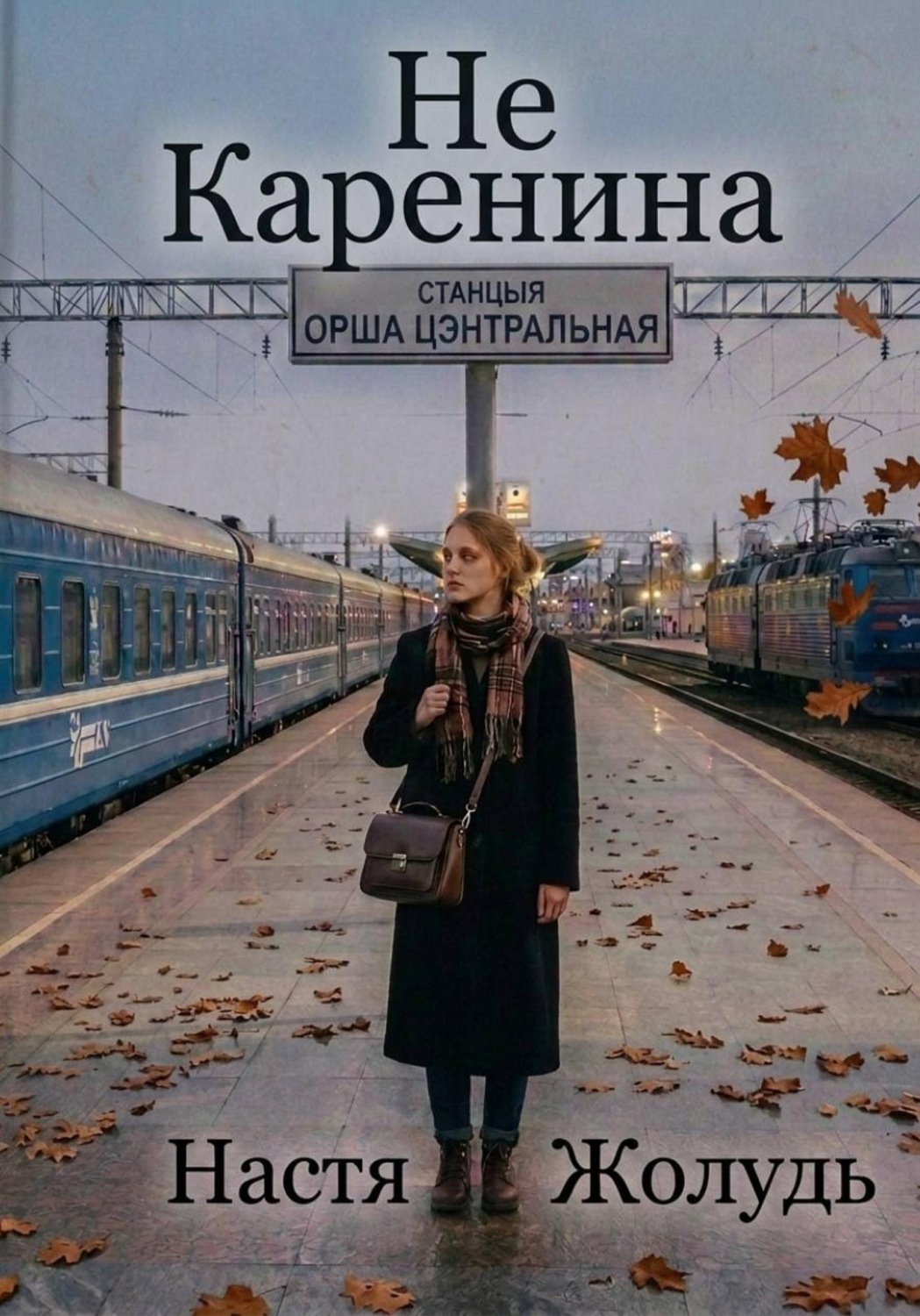 Обложка книги «Не Каренина»