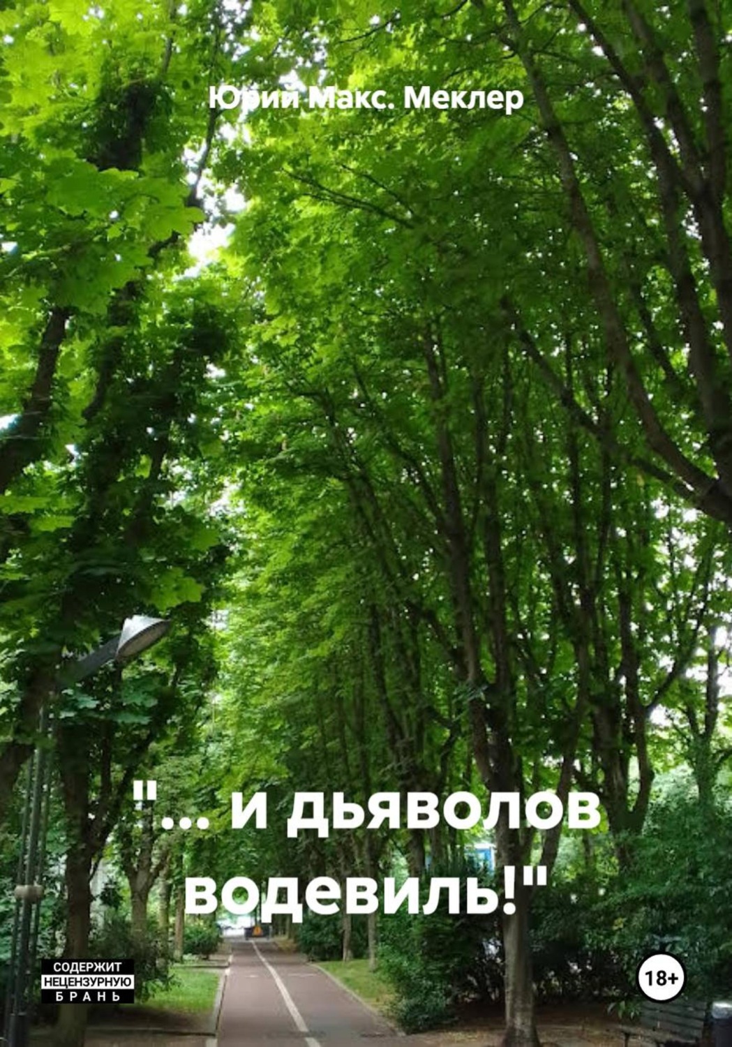 Обложка книги «"... и дьяволов водевиль!"»