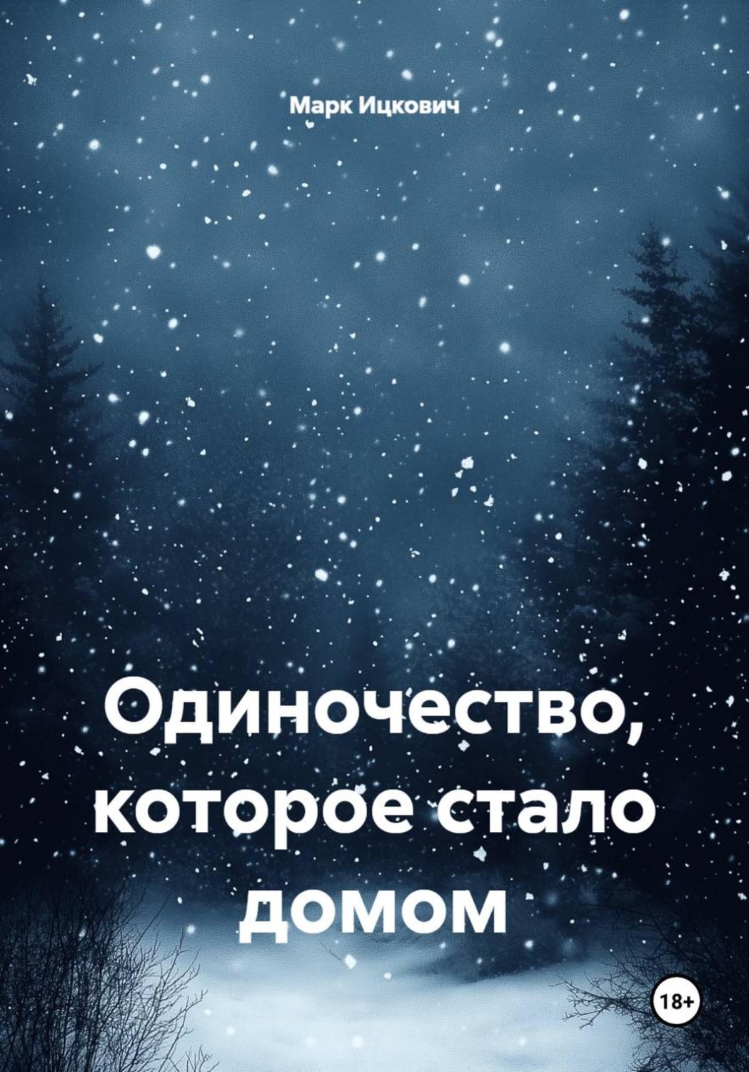 Обложка книги «Одиночество, которое стало домом»