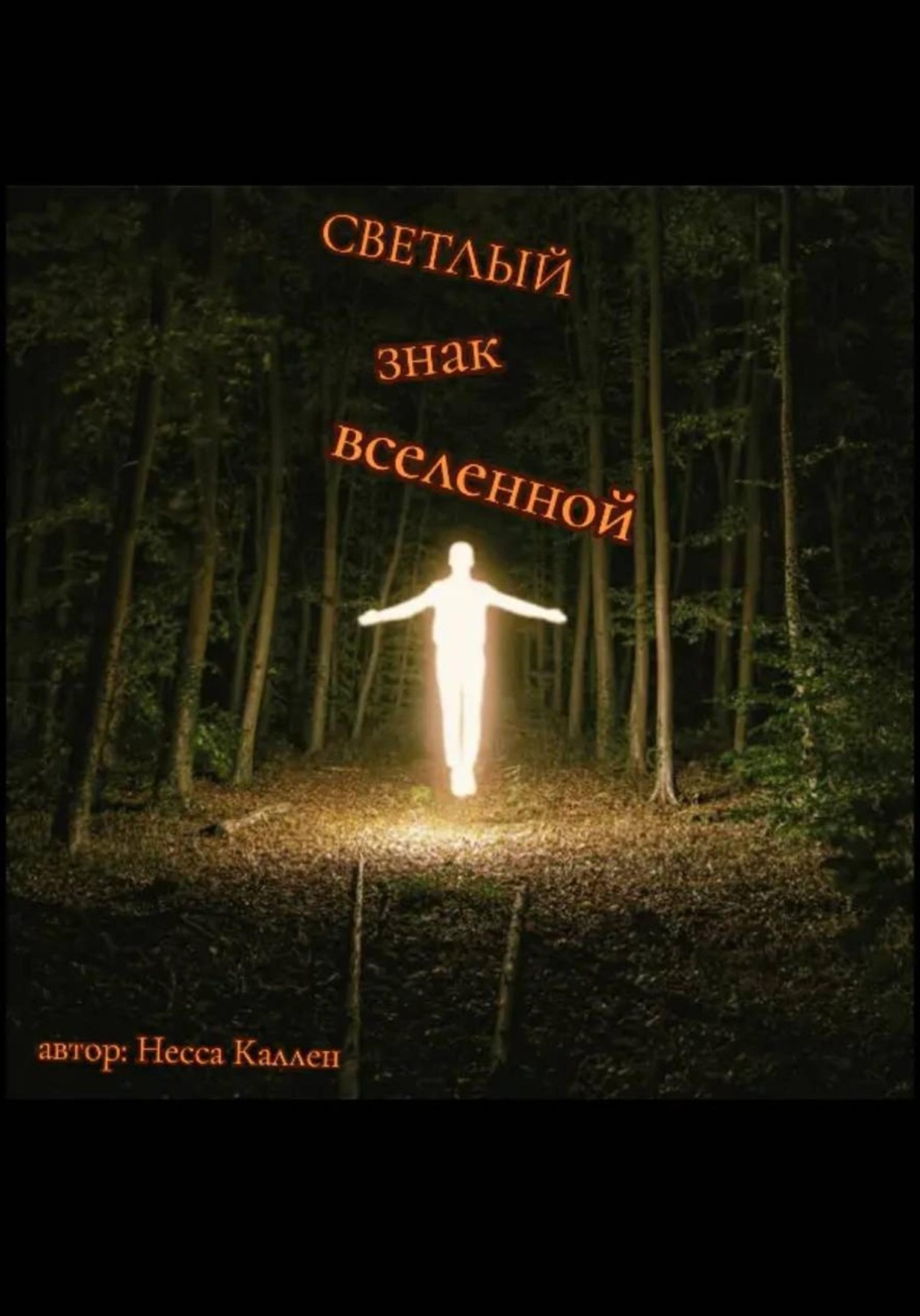 Обложка книги «Светлый знак Вселенной»