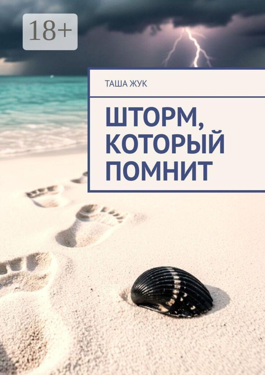 Обложка книги «Шторм, который помнит»