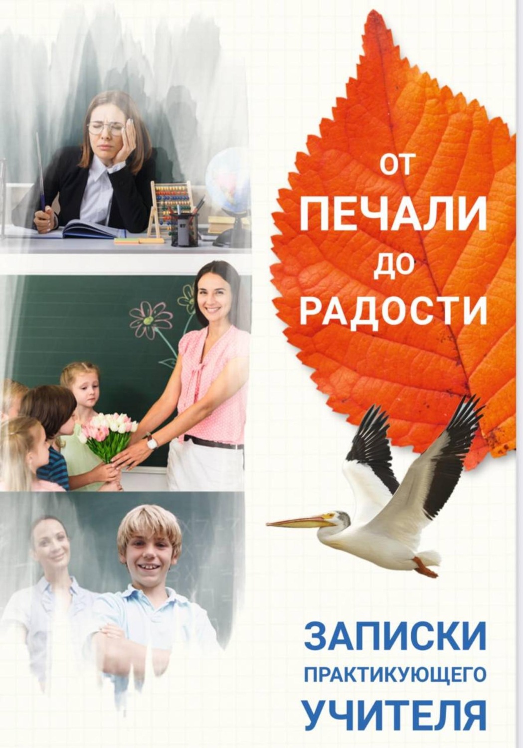 Обложка книги «Елена Костырева От печали до радости. Записки практикующего учителя»
