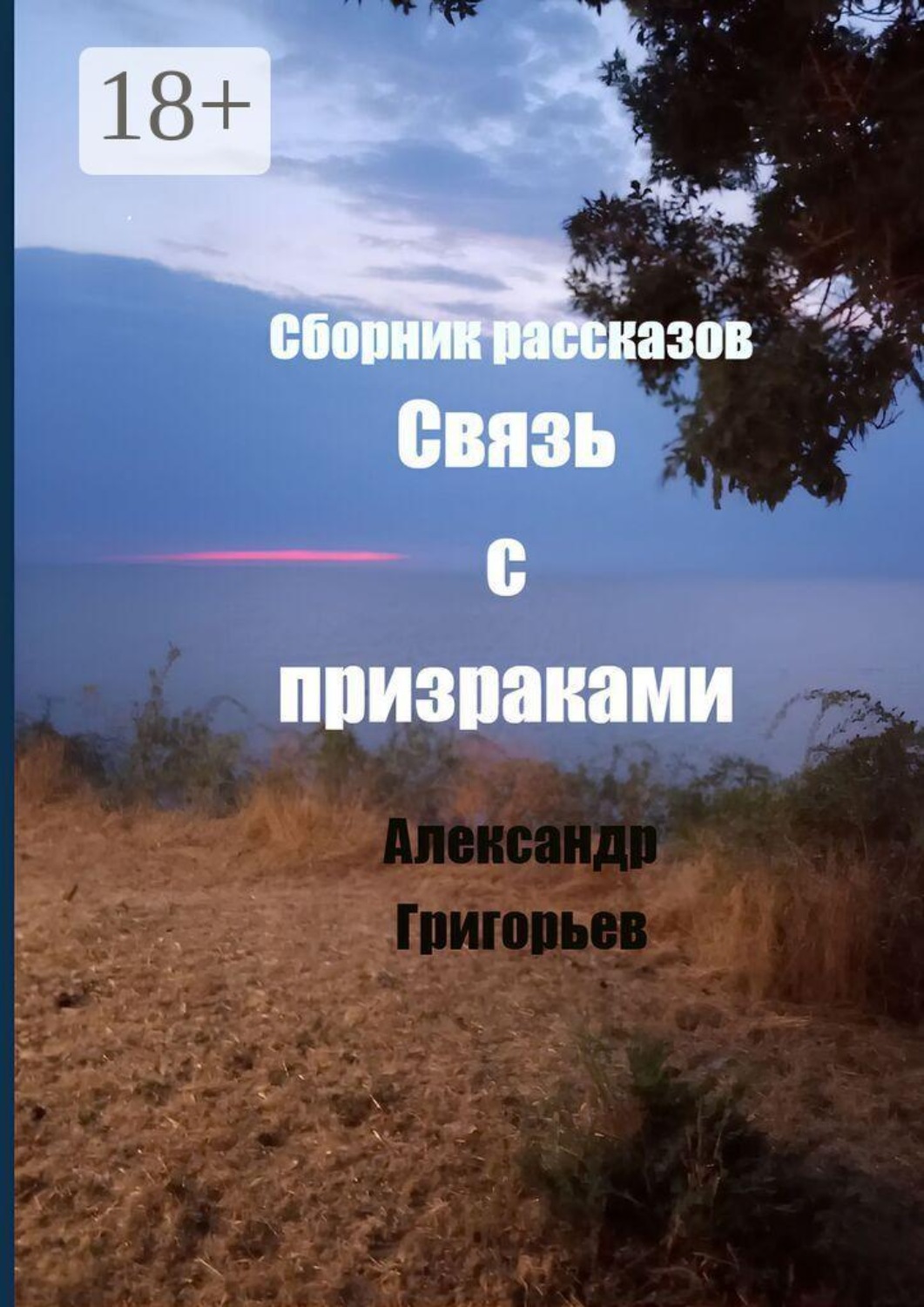 Обложка книги «Связь с призраками»