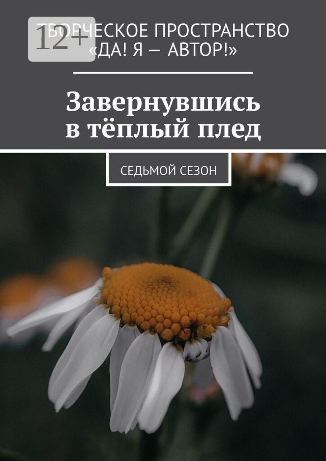 Обложка книги «Завернувшись в тёплый плед. Cедьмой сезон»