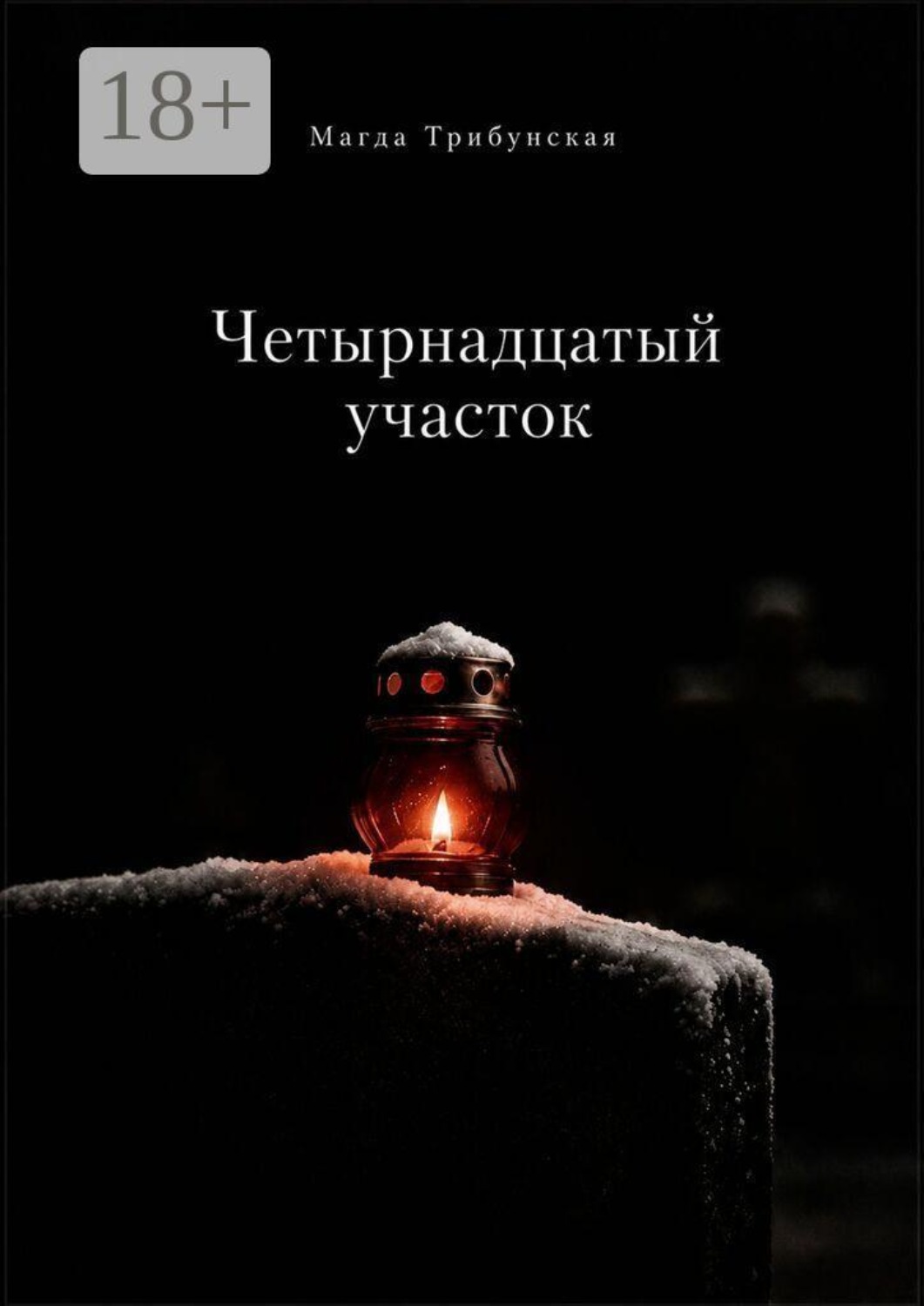 Обложка книги «Четырнадцатый участок»