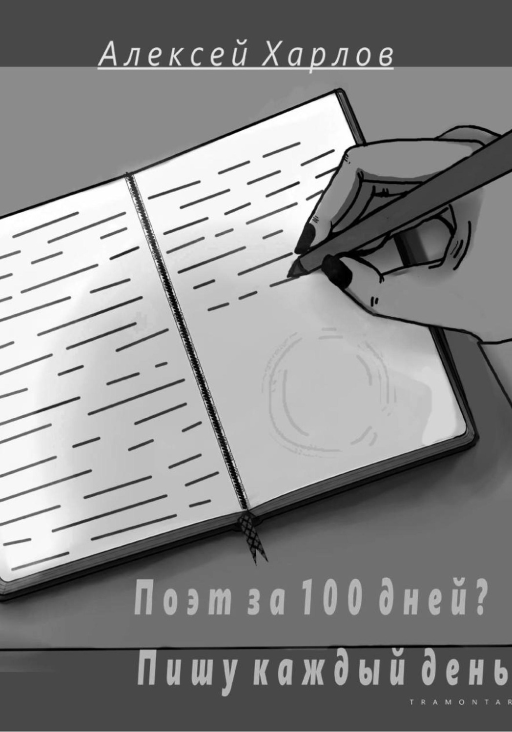 Обложка книги «Поэт за 100 дней? Пишу каждый день»