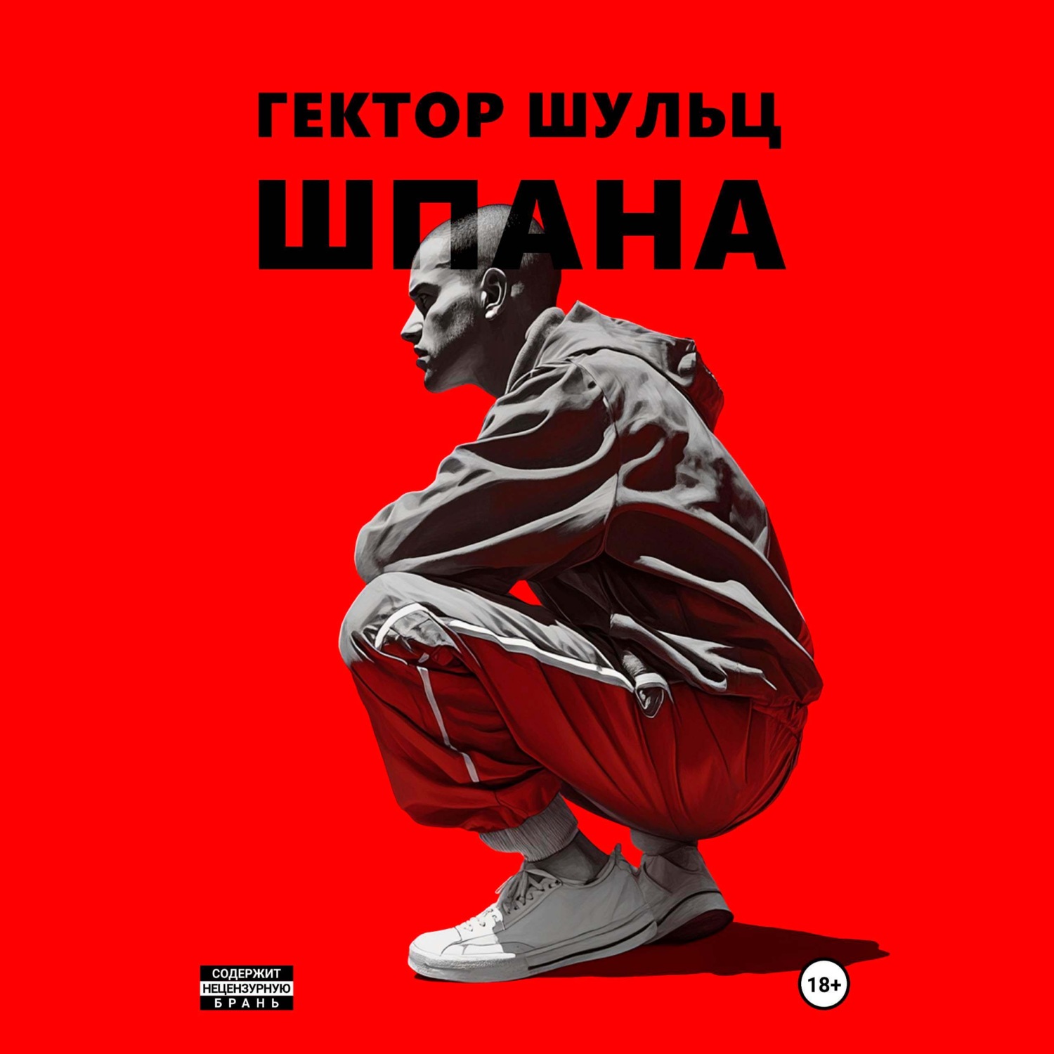 Обложка книги «Шпана»