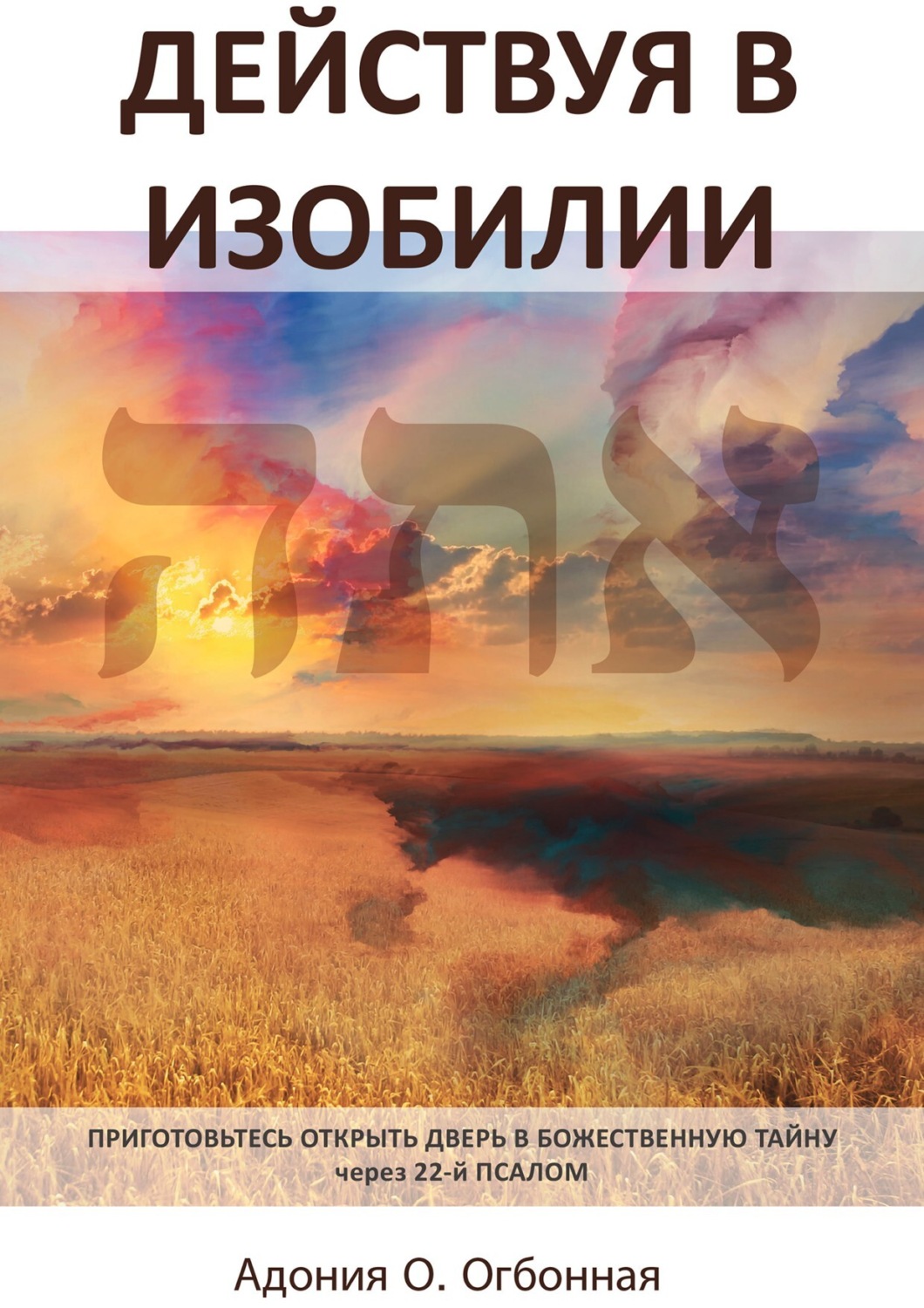 Обложка книги «Действуя в изобилии»