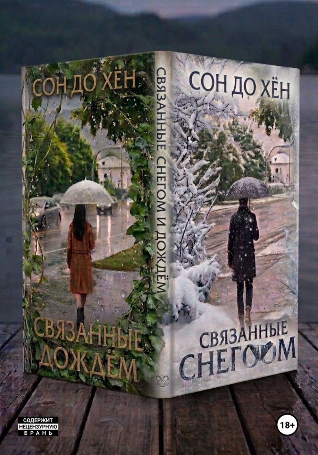 Обложка книги «Связанные снегом и дождём»