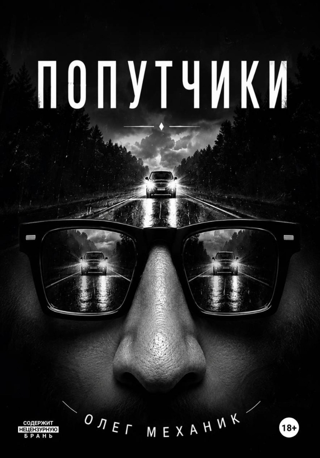 Обложка книги «Попутчики»