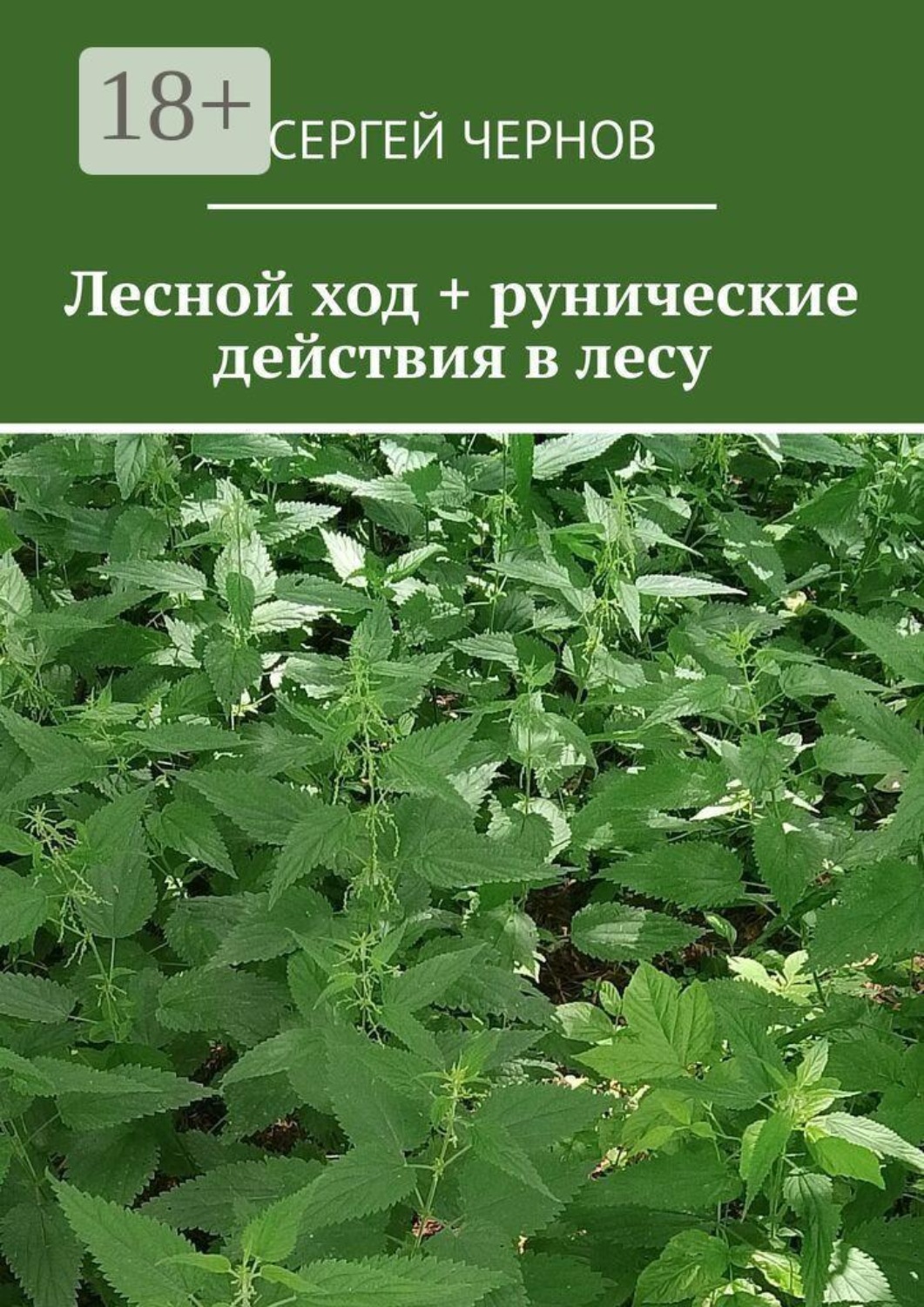 Обложка книги «Лесной ход + рунические действия в лесу»