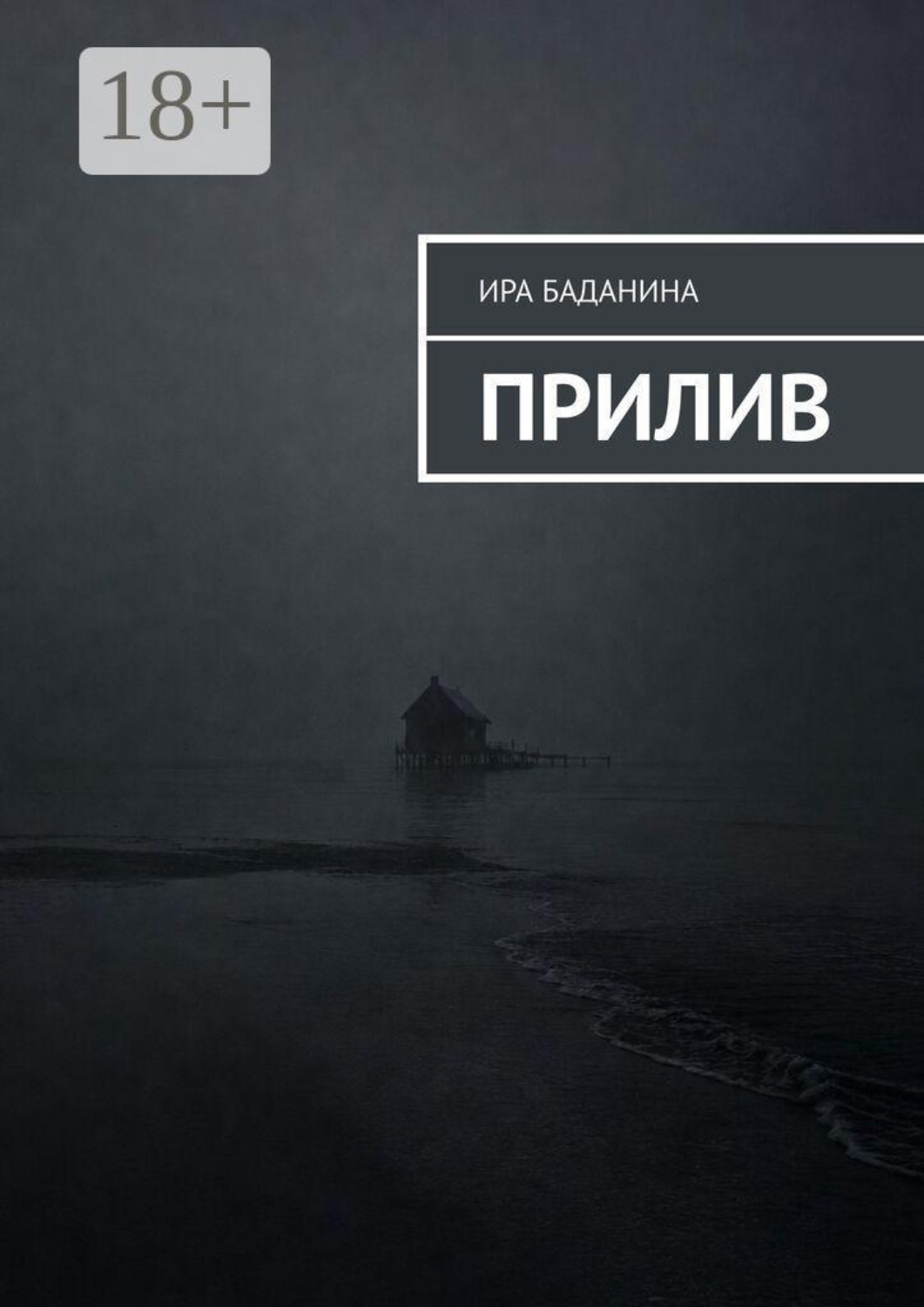 Обложка книги «Прилив»