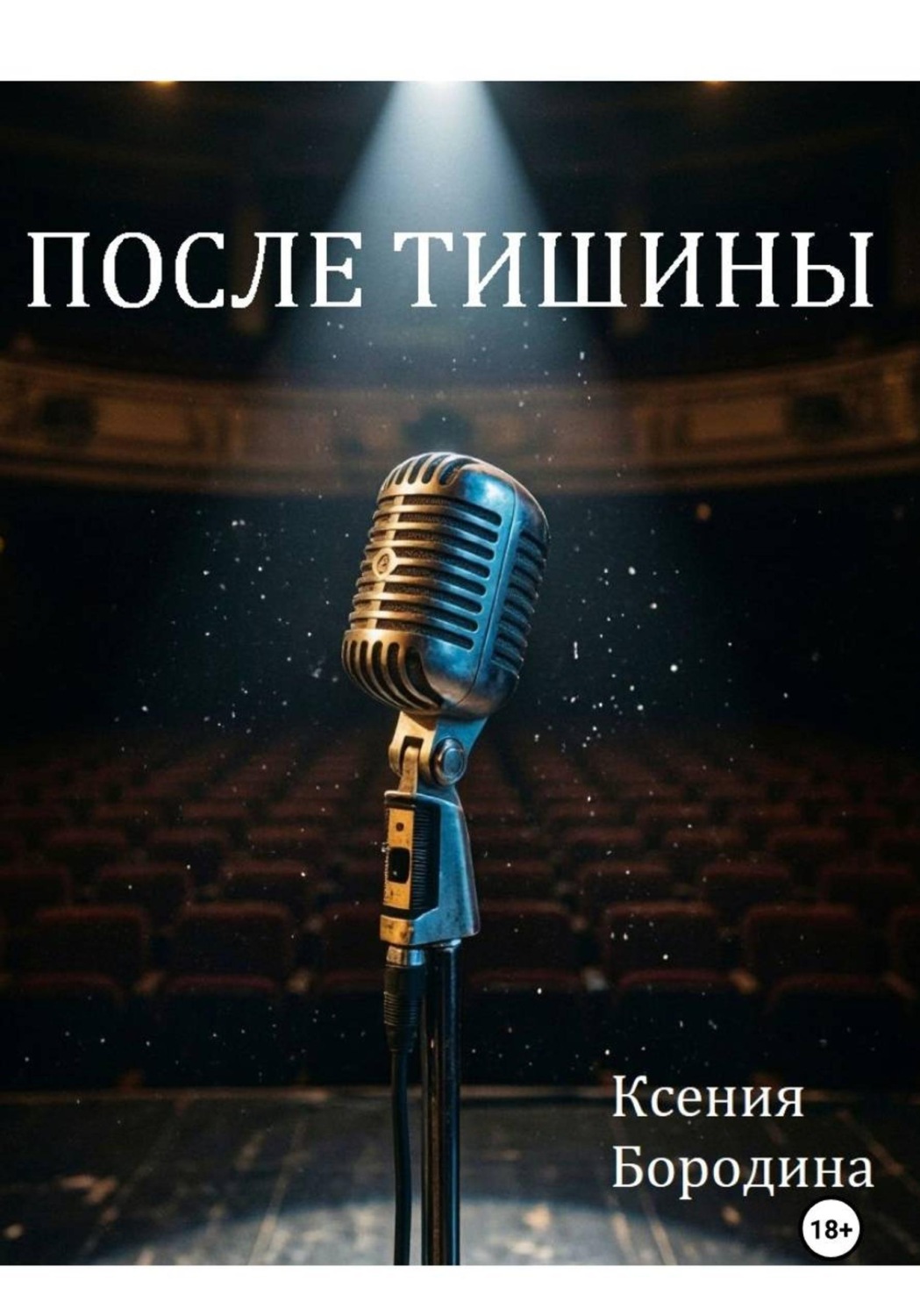 Обложка книги «После тишины»