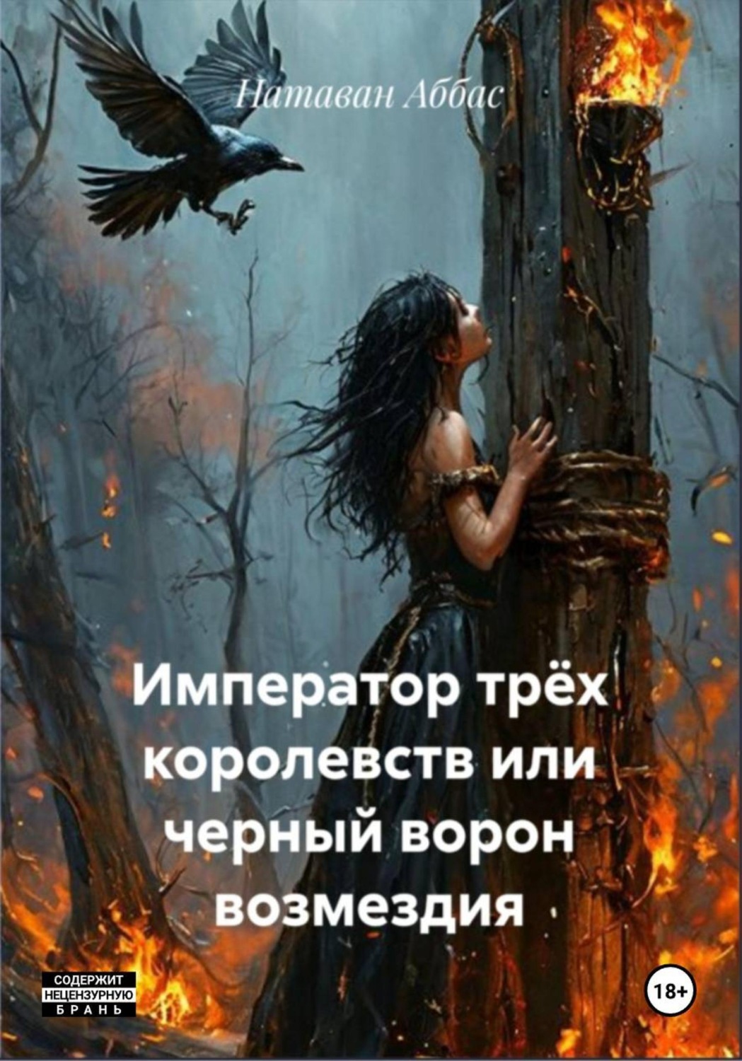 Обложка книги «Император трёх королевств, или Черный ворон возмездия»