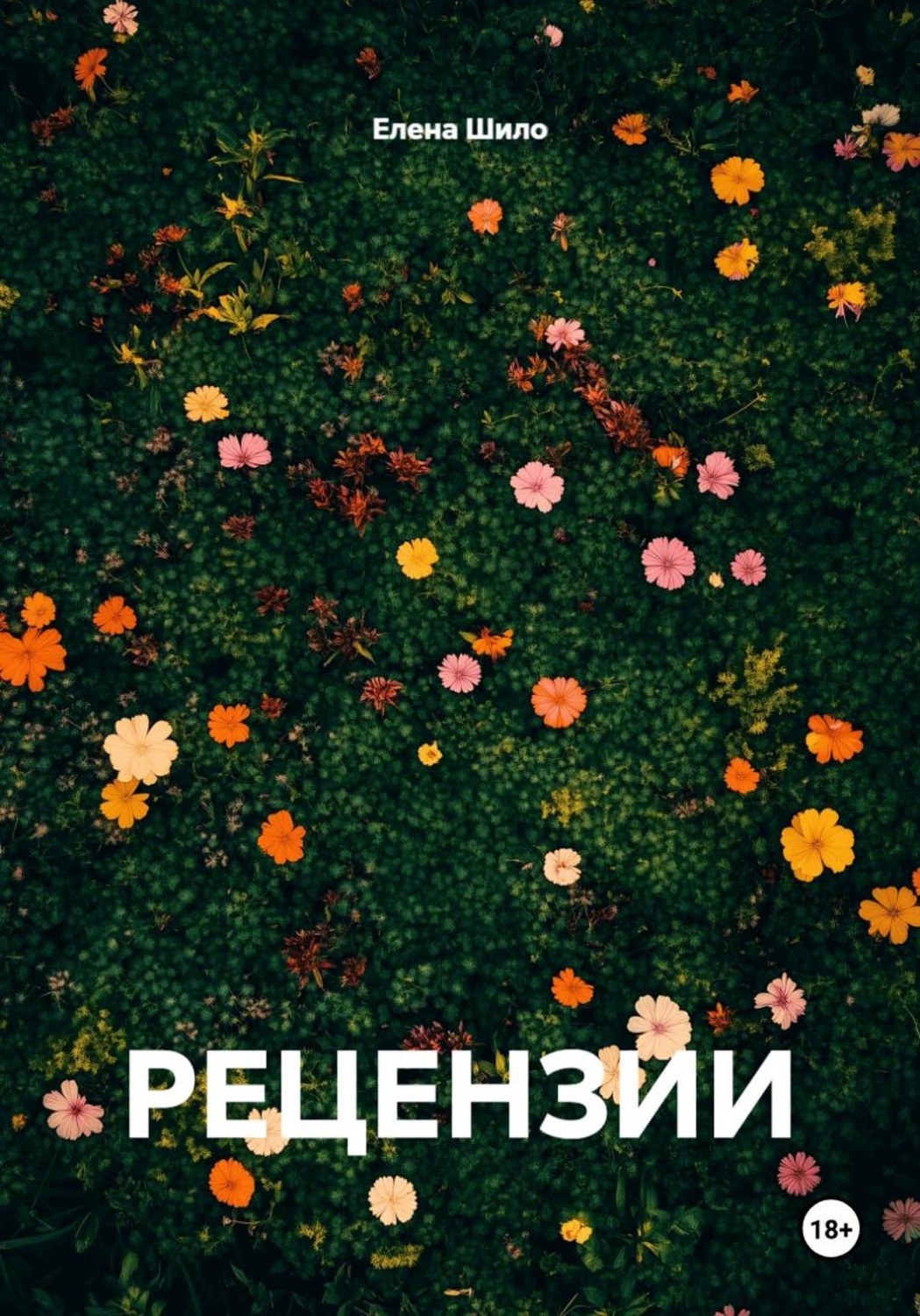Обложка книги «РЕЦЕНЗИИ»