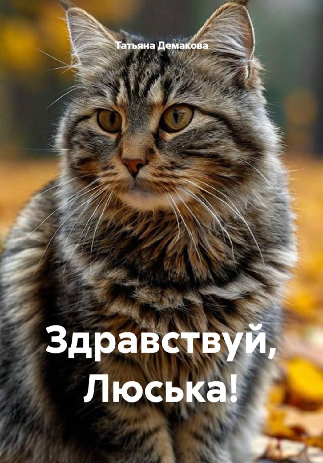 Обложка книги «Здравствуй, Люська!»