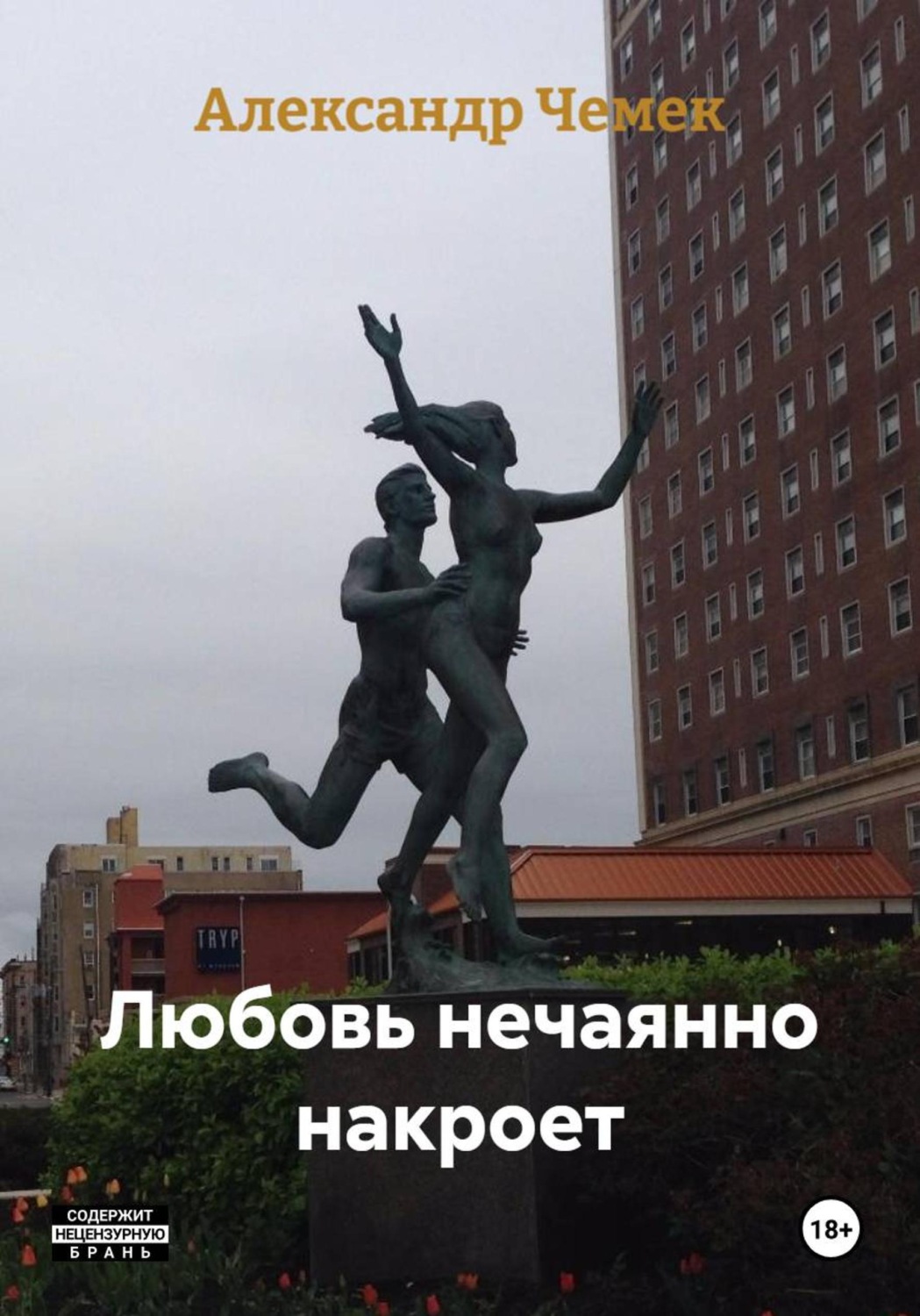 Обложка книги «Любовь нечаянно накроет»