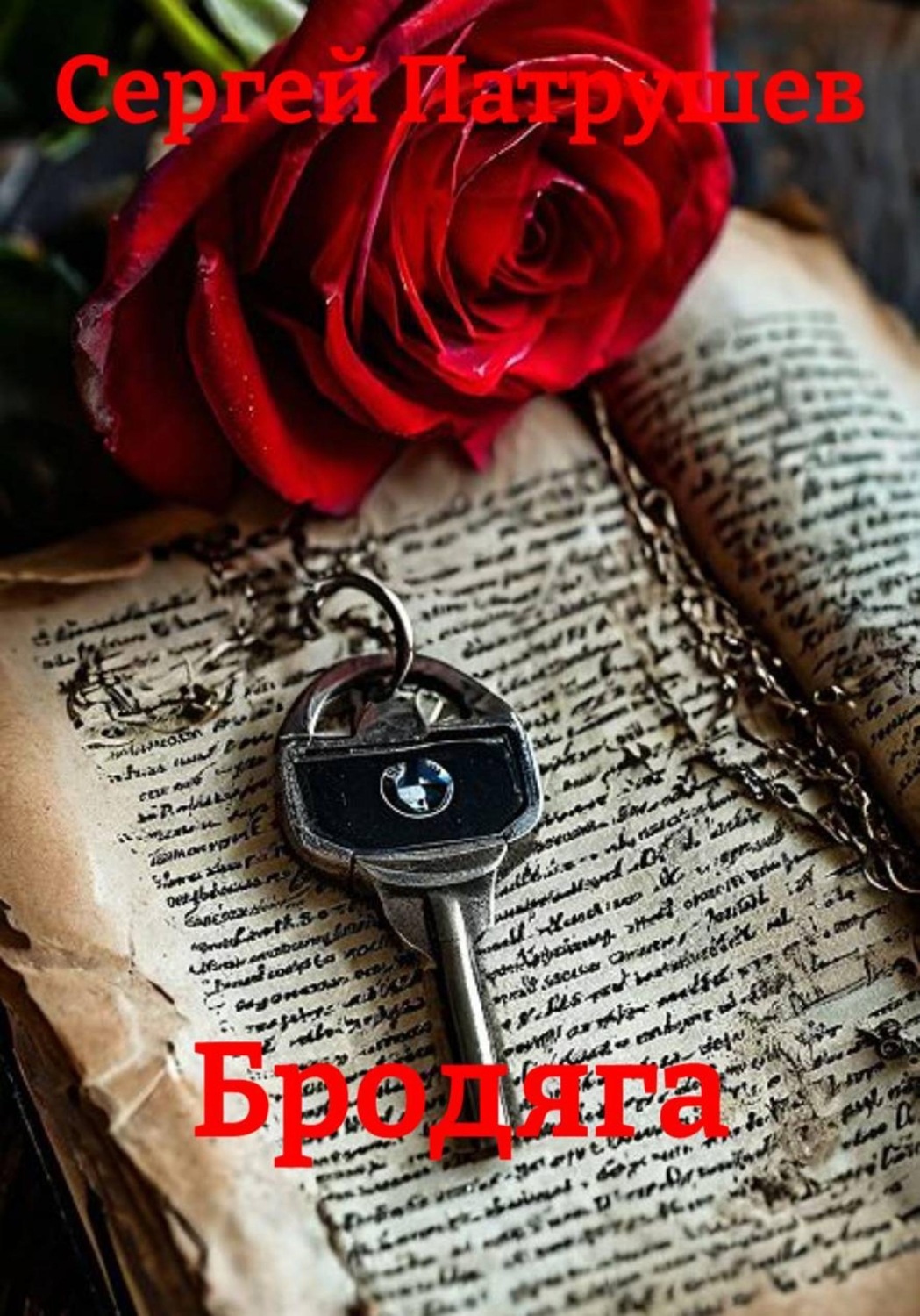 Обложка книги «Бродяга»