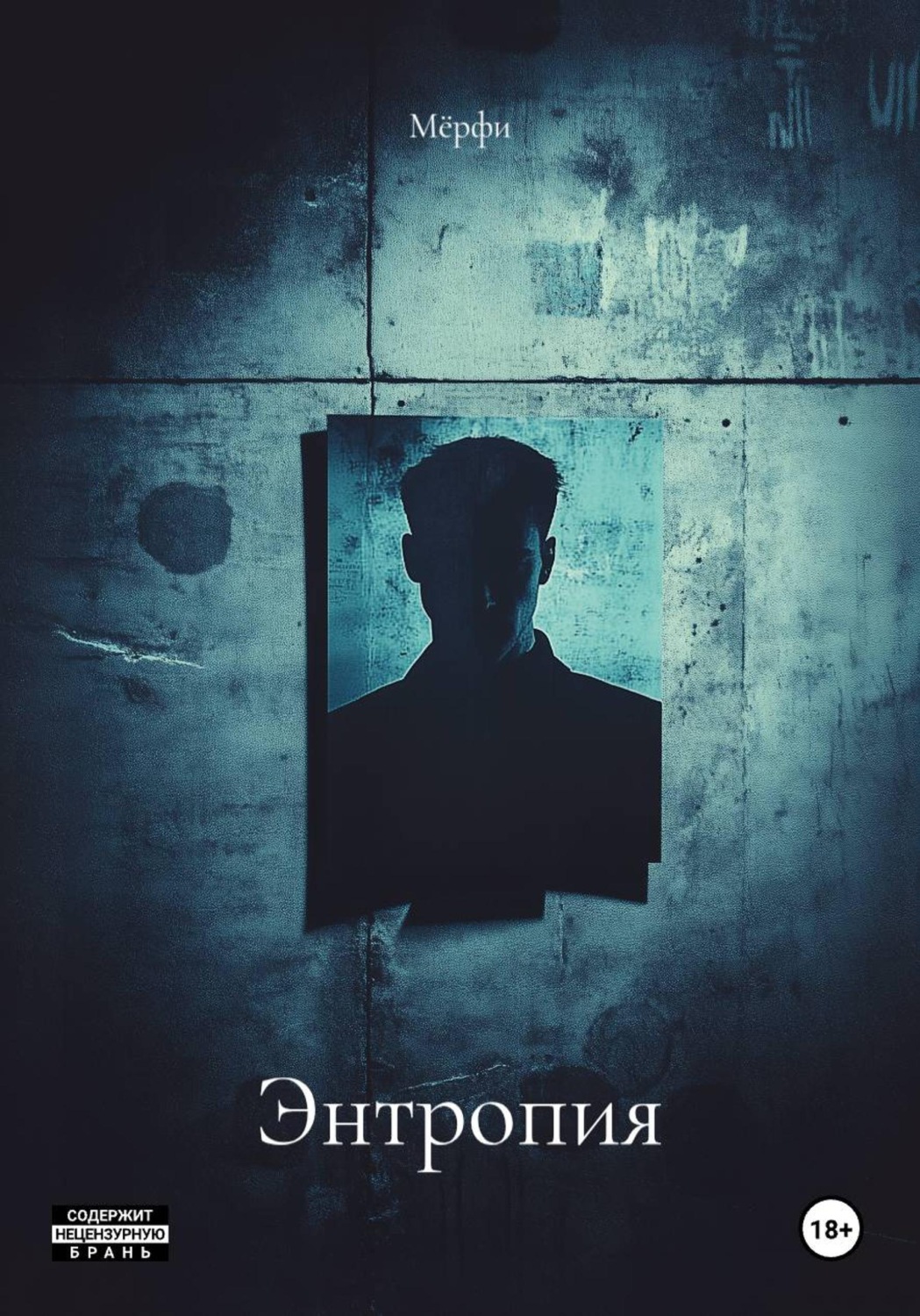 Обложка книги «Энтропия»