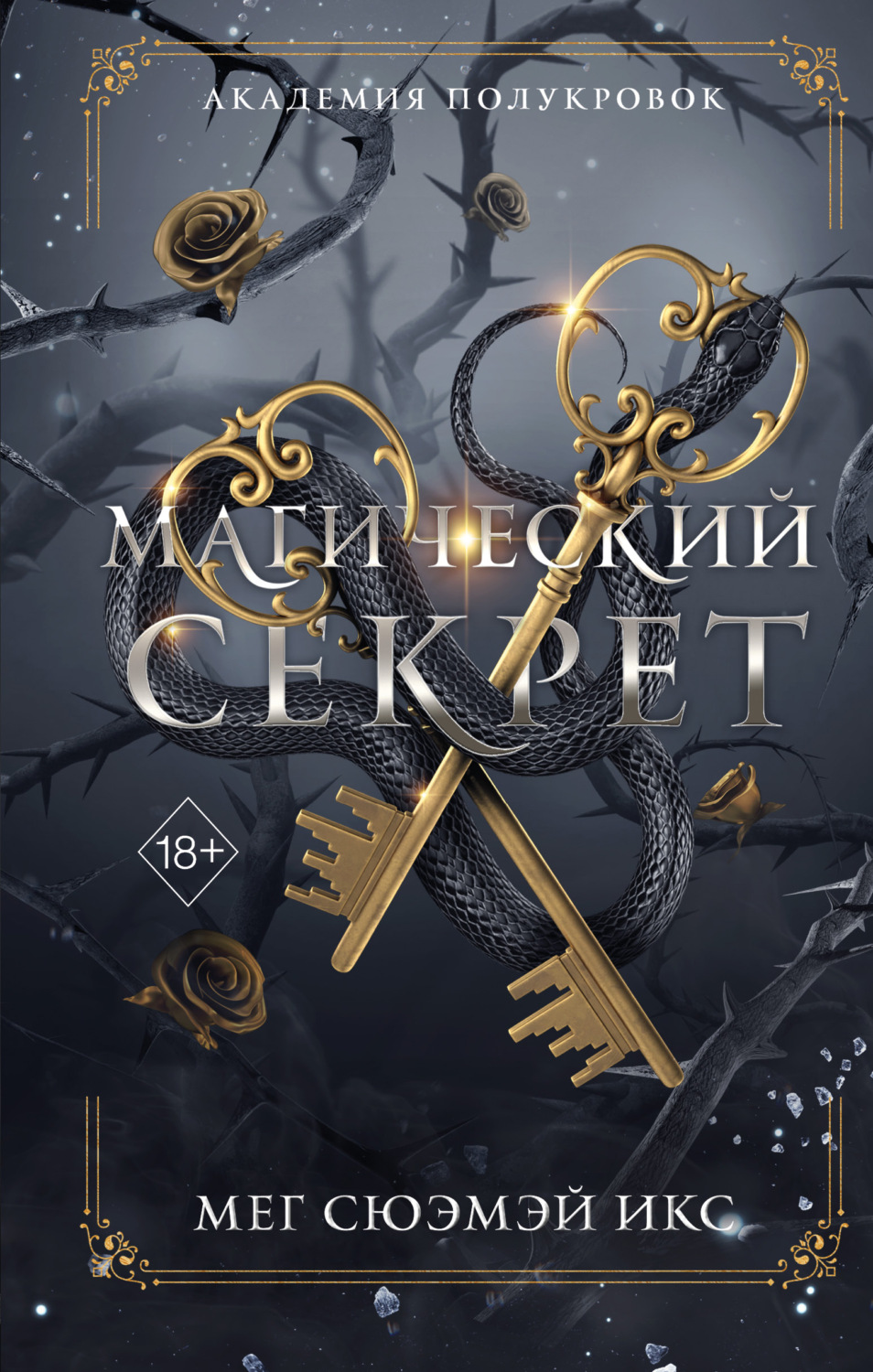 Обложка книги «Академия полукровок. Магический секрет»