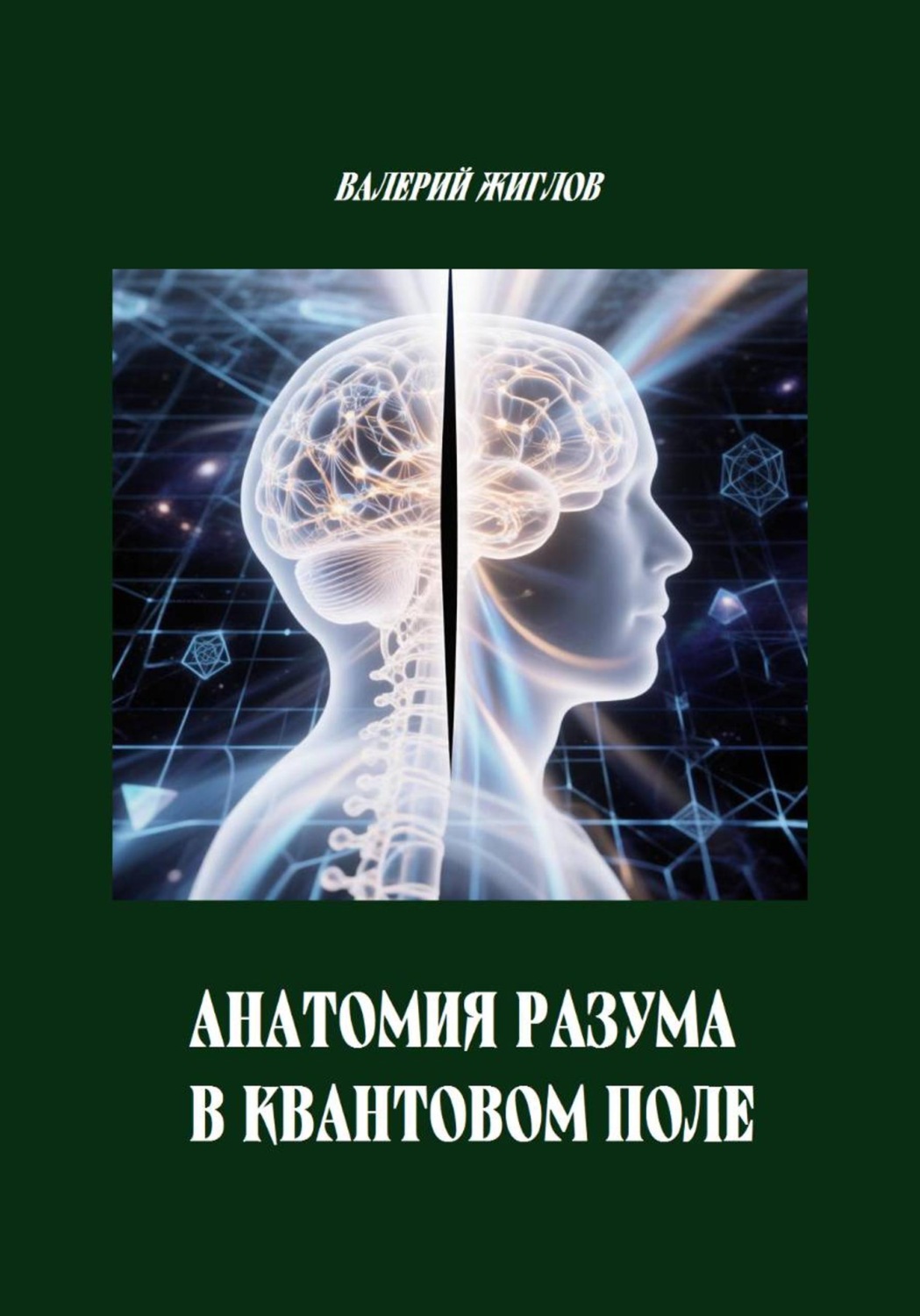 Обложка книги «Анатомия разума в квантовом поле»