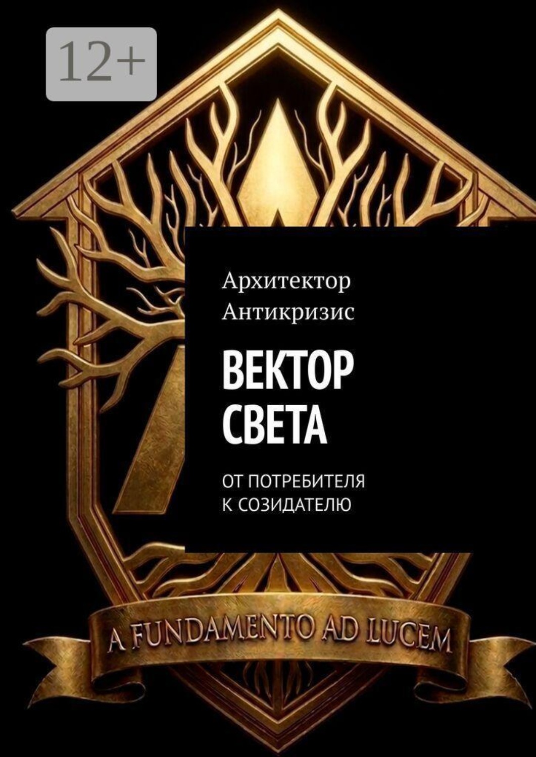 Обложка книги «Вектор Света. От потребителя к созидателю»