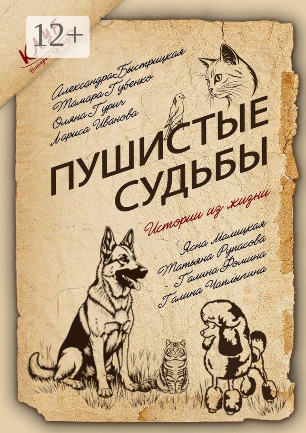 Обложка книги «Пушистые судьбы. Сборник рассказов»