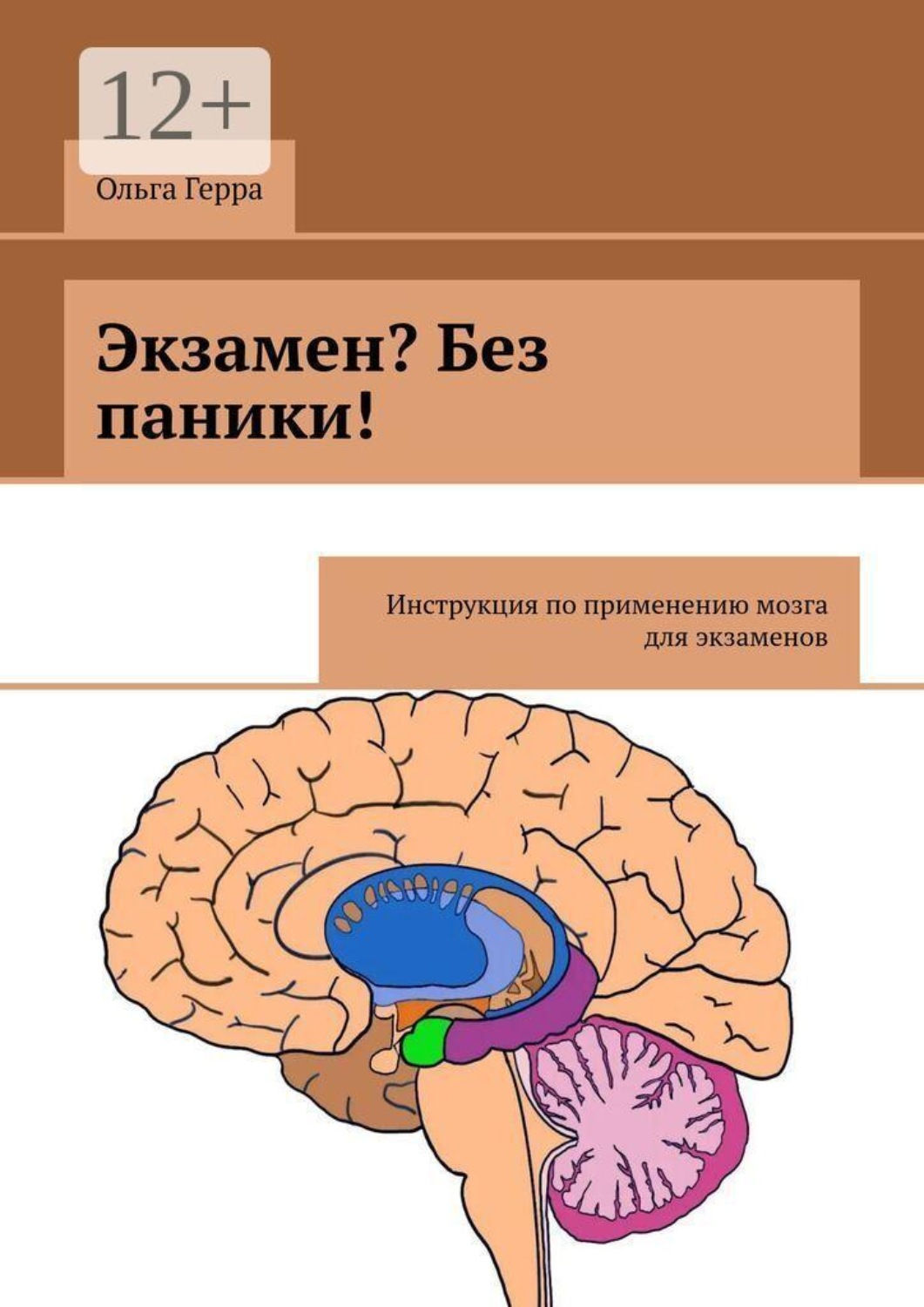 Обложка книги «Экзамен? Без паники! Инструкция по применению мозга для экзаменов»