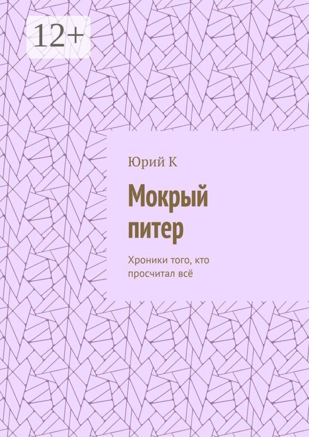 Обложка книги «Мокрый питер. Хроники Того, Кто Просчитал Всё, Кроме Одного»