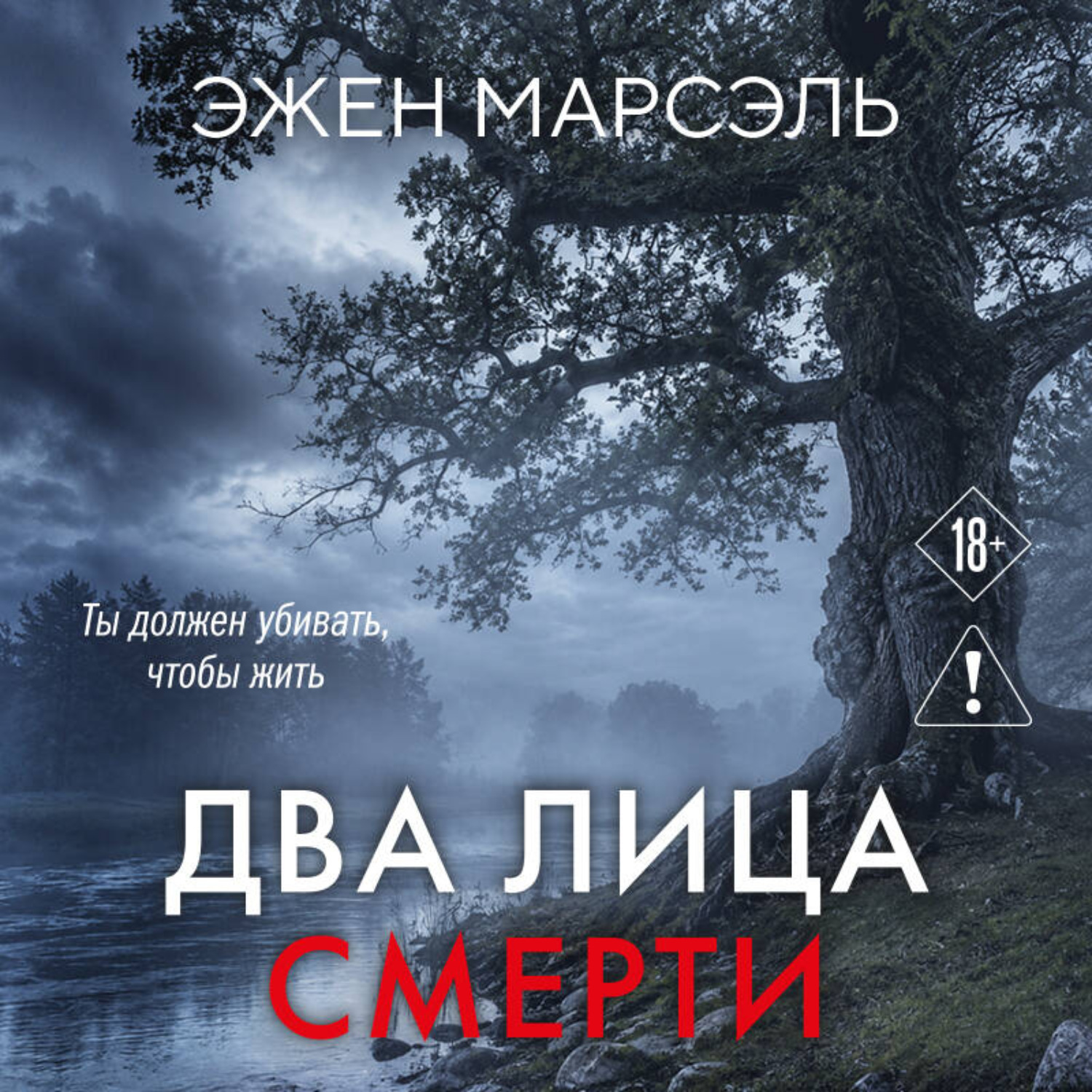 Обложка книги «Два лица смерти»