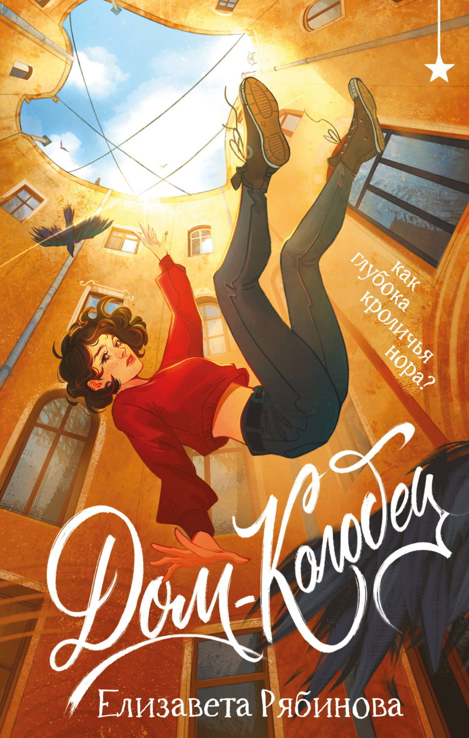 Обложка книги «Дом-колодец»