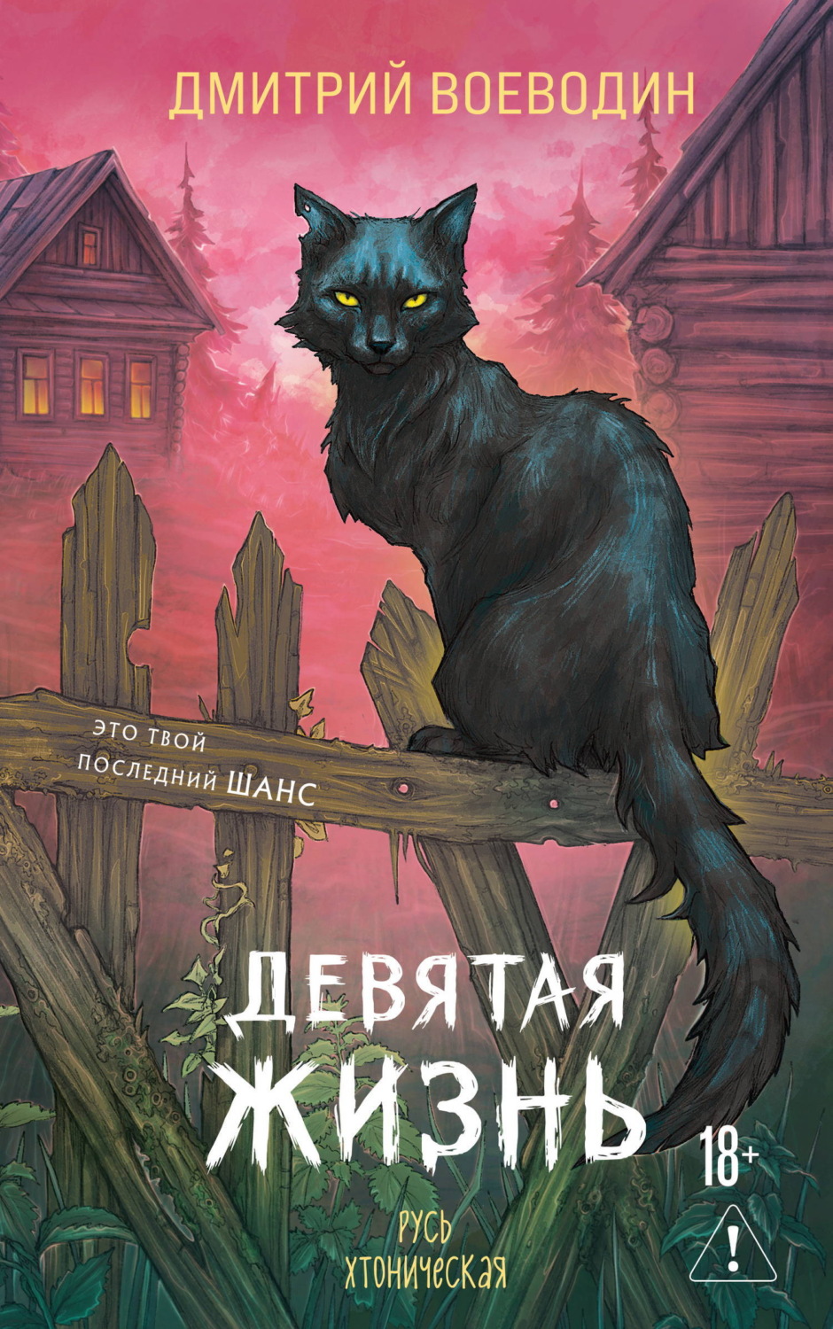 Обложка книги «Девятая жизнь»