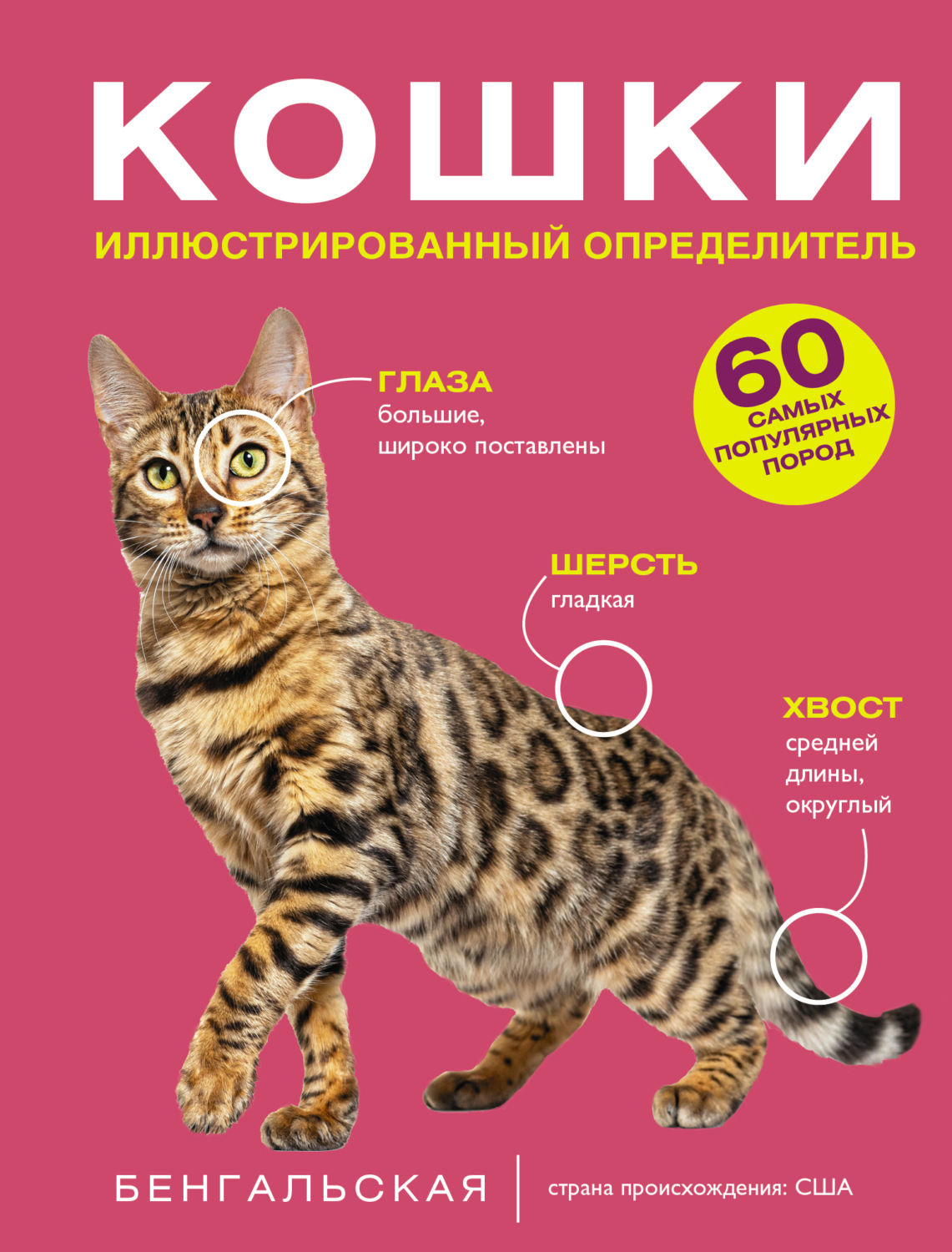 Обложка книги «Кошки. 60 самых популярных пород. Иллюстрированный определитель»