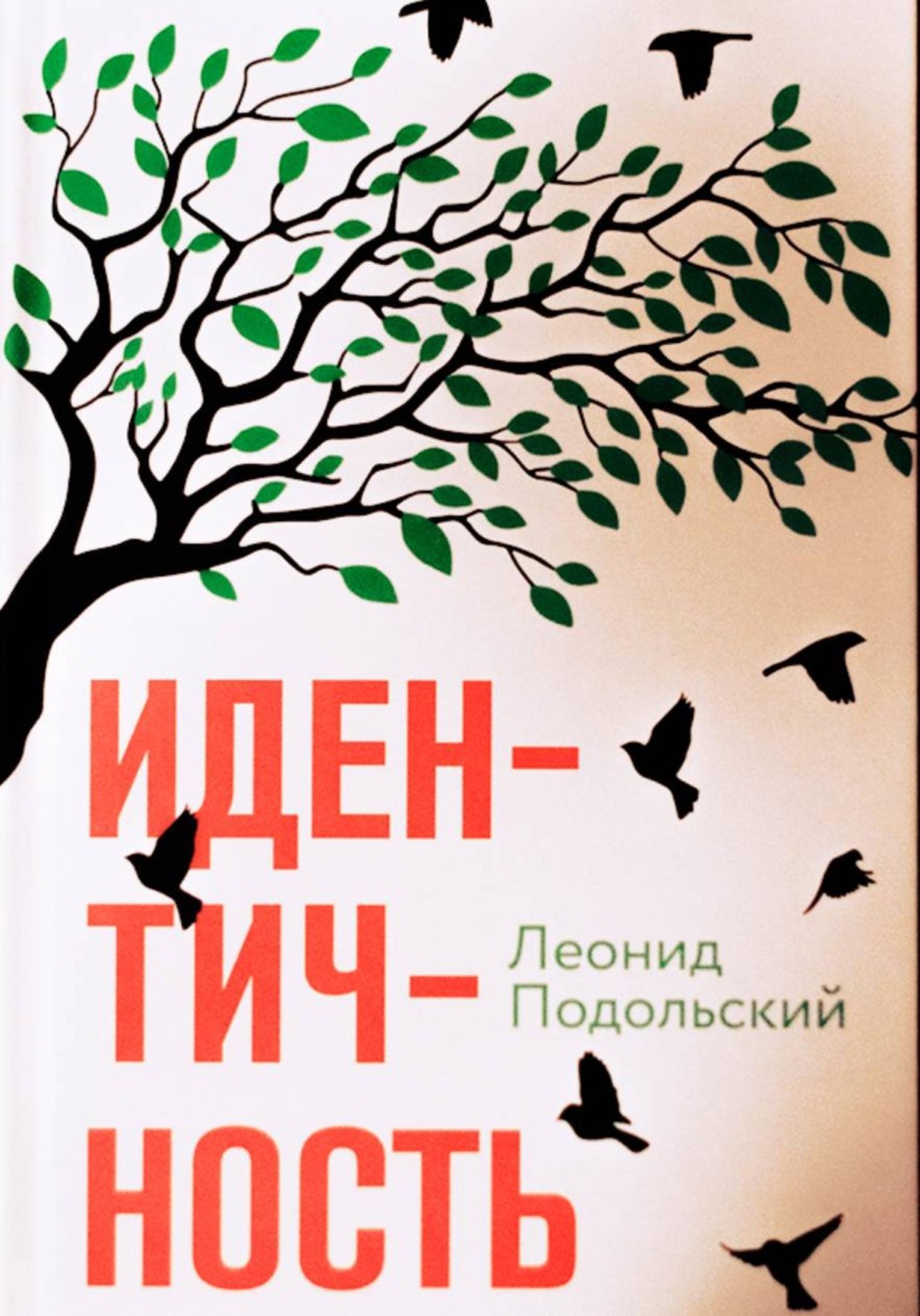 Обложка книги «Идентичность»