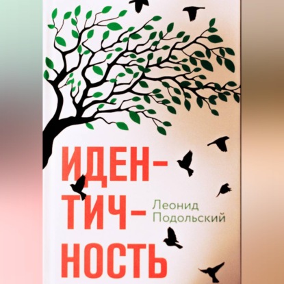 Обложка книги «Идентичность»