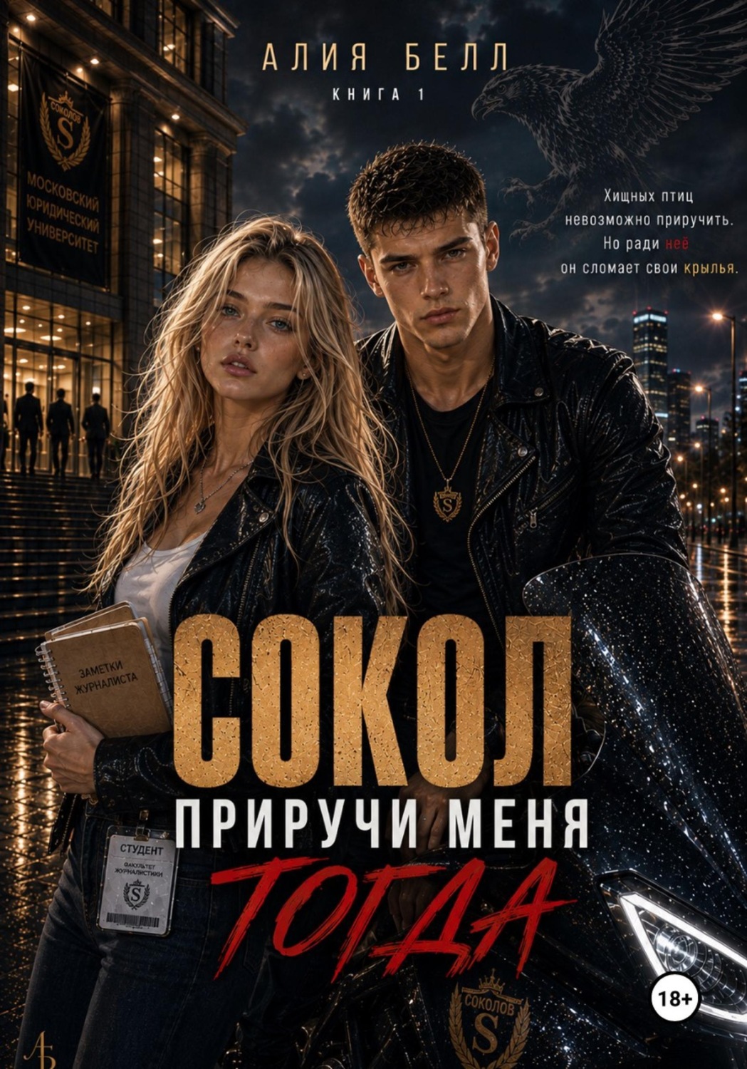 Обложка книги «Сокол: Приручи меня. ТОГДА»