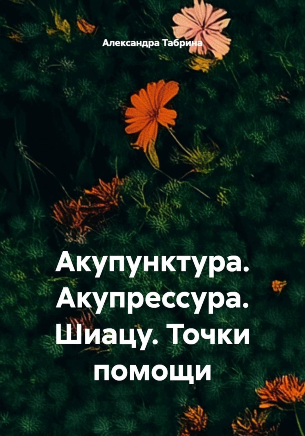 Обложка книги «Акупунктура. Акупрессура. Шиацу. Точки помощи»